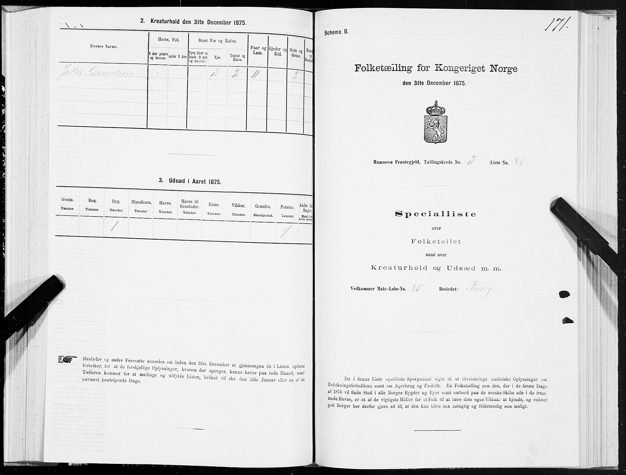 SAT, Folketelling 1875 for 1849P Hamarøy prestegjeld, 1875, s. 2171