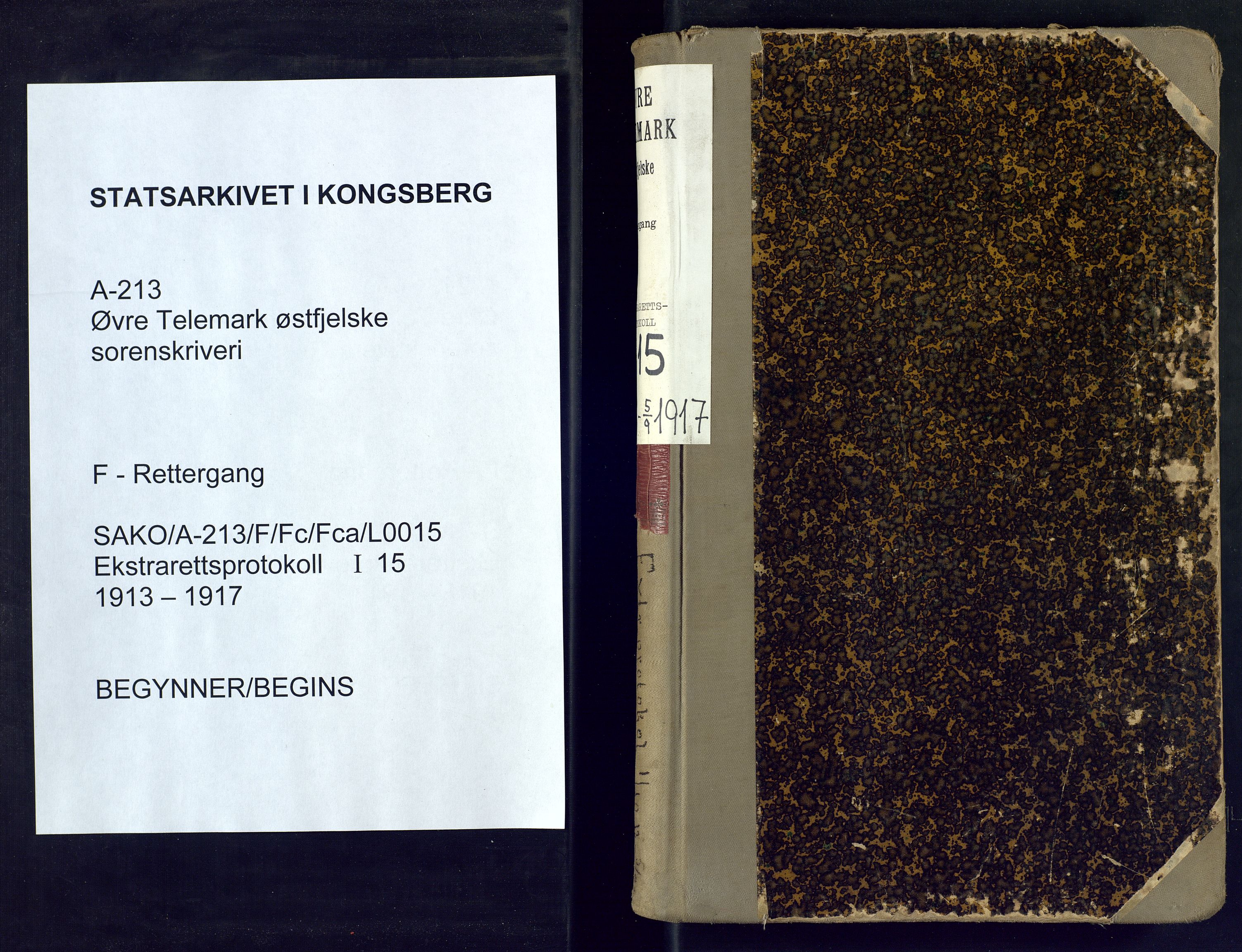Øvre Telemark østfjelske sorenskriveri, SAKO/A-213/F/Fc/Fca/L0015: Ekstrarettsprotokoll, sivile saker, 1913-1917