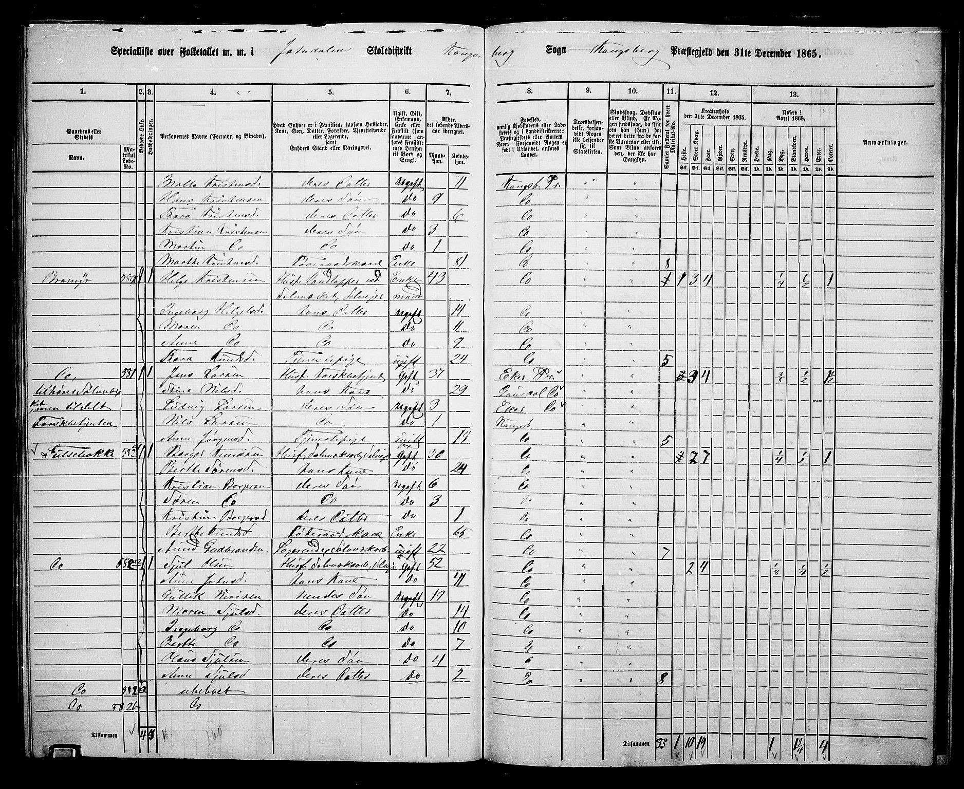 RA, Folketelling 1865 for 0692L Kongsberg prestegjeld, Kongsberg landsokn, 1865, s. 9