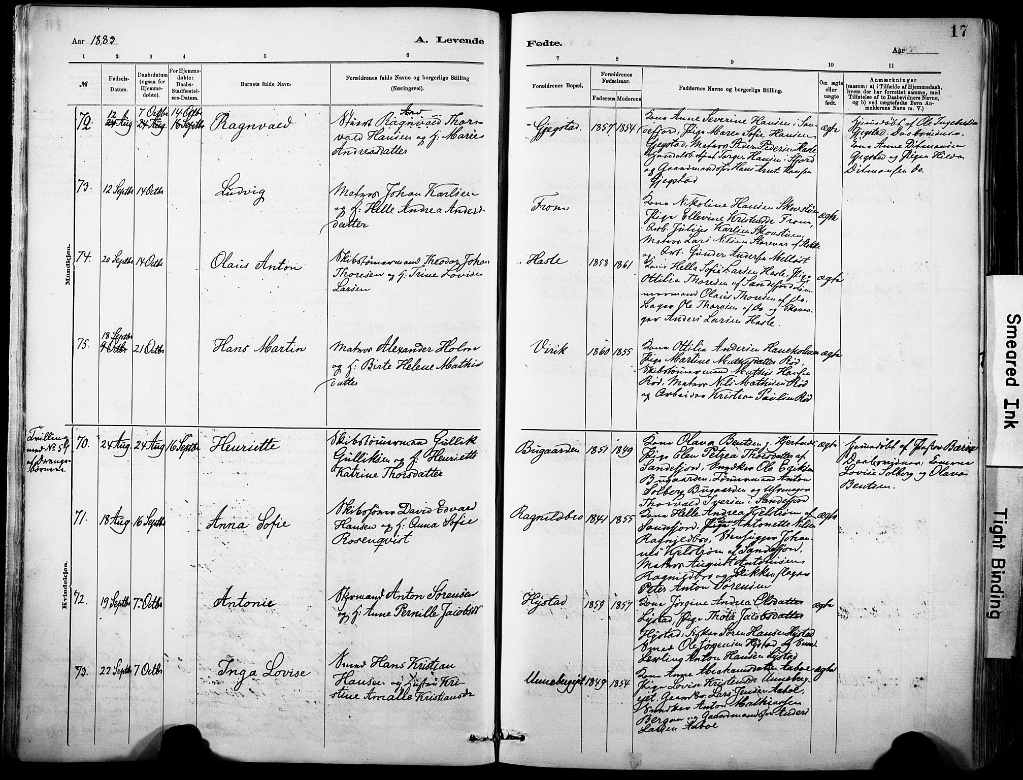 Sandar kirkebøker, AV/SAKO-A-243/F/Fa/L0012: Ministerialbok nr. 12, 1883-1895, s. 17