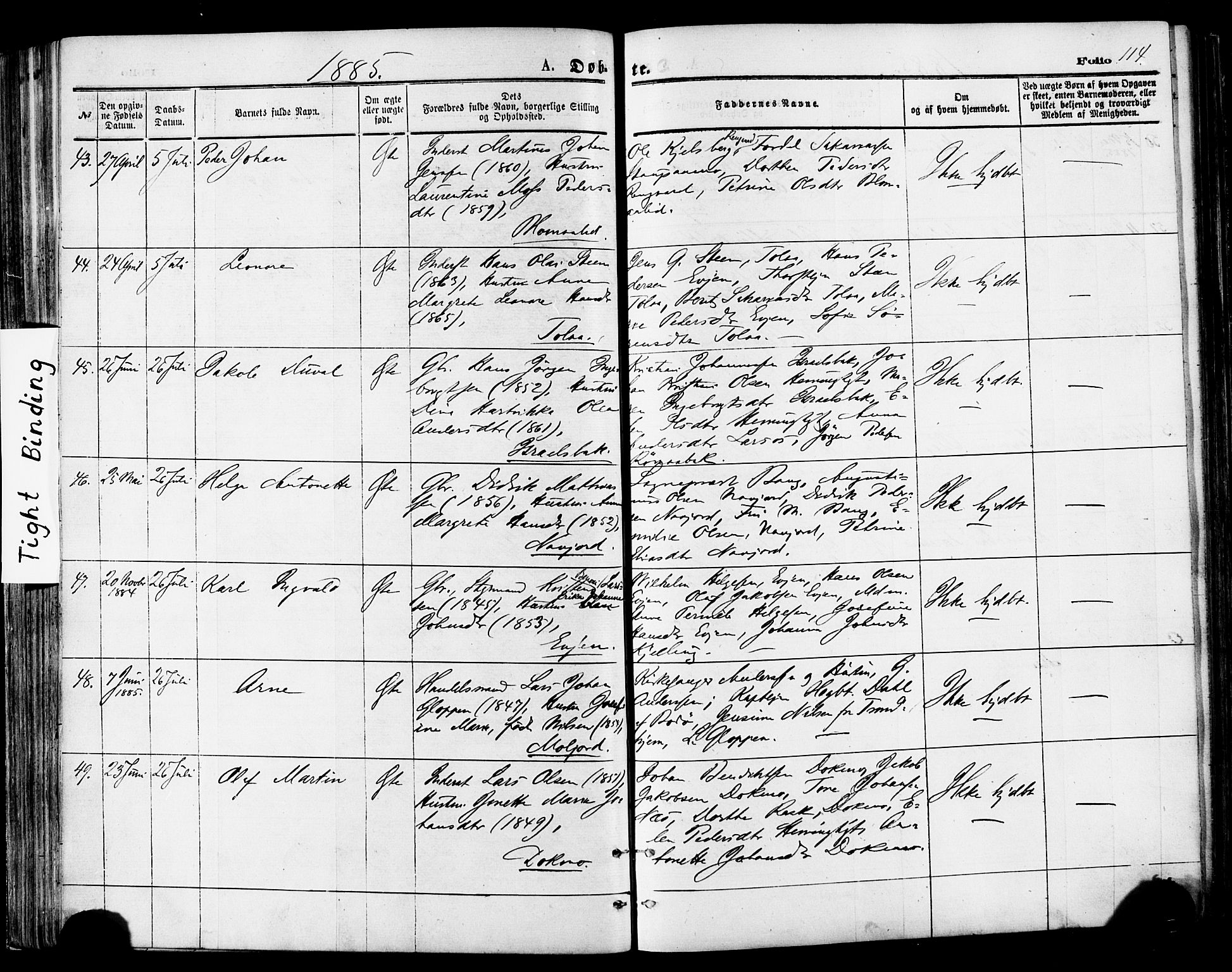 Ministerialprotokoller, klokkerbøker og fødselsregistre - Nordland, AV/SAT-A-1459/846/L0645: Ministerialbok nr. 846A03, 1872-1886, s. 114