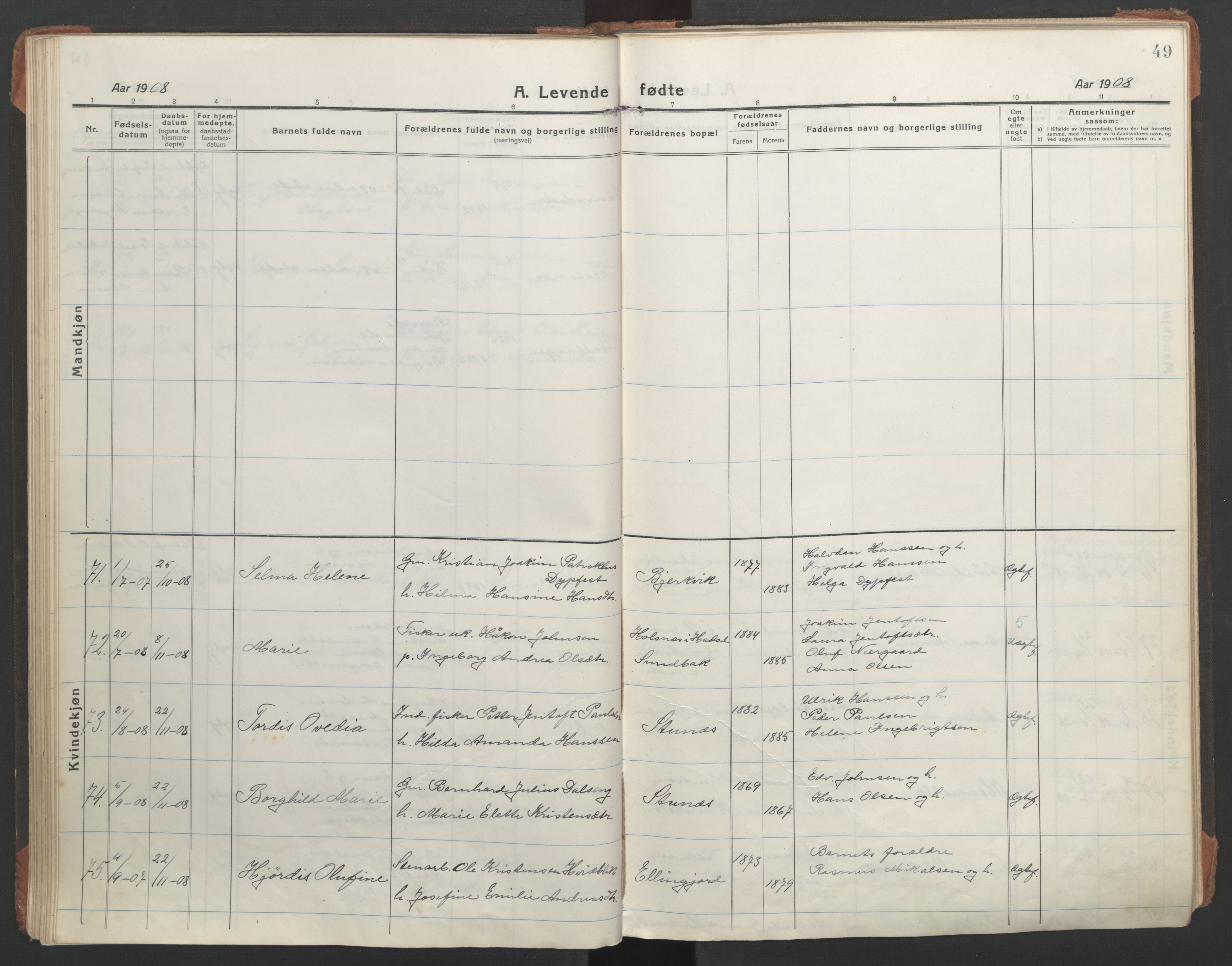 Ministerialprotokoller, klokkerbøker og fødselsregistre - Nordland, AV/SAT-A-1459/863/L0900: Ministerialbok nr. 863A12, 1906-1915, s. 49