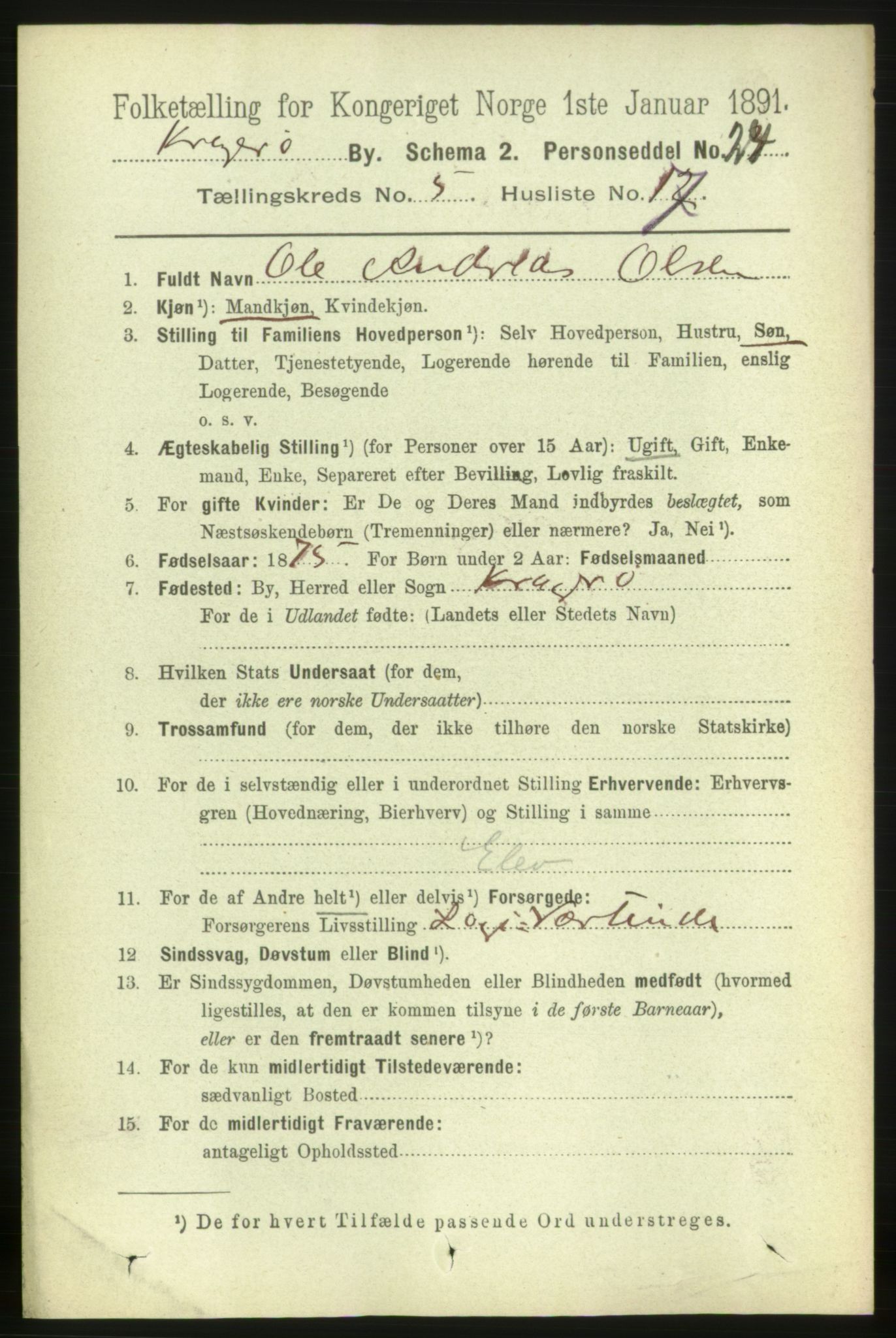 RA, Folketelling 1891 for 0801 Kragerø kjøpstad, 1891, s. 3084
