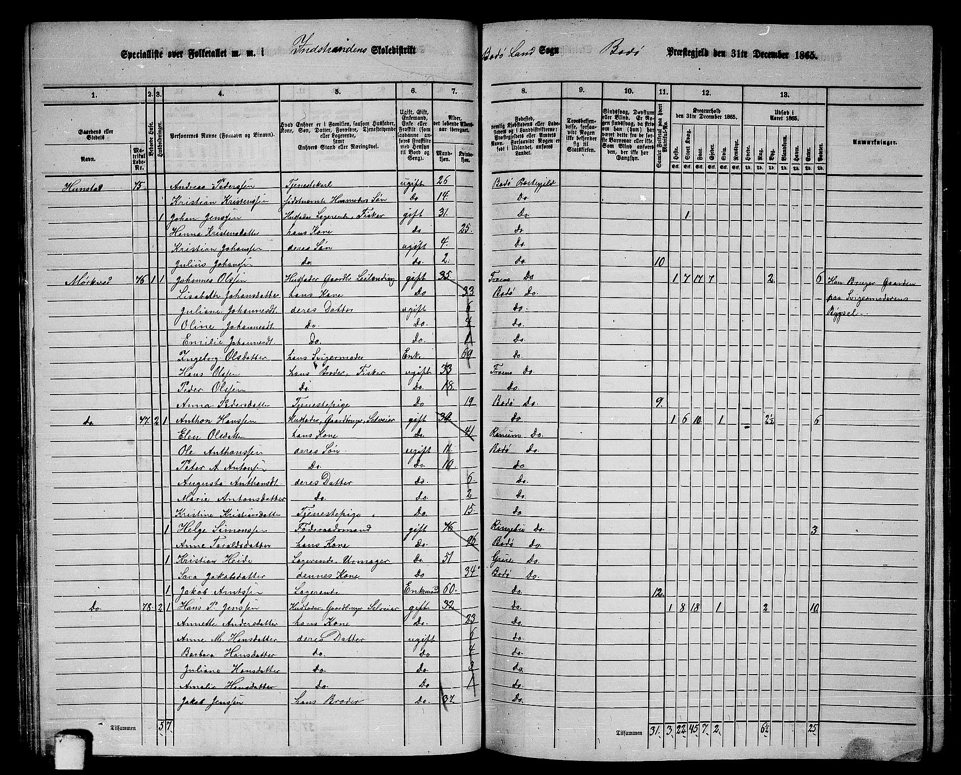 RA, Folketelling 1865 for 1843L Bodø prestegjeld, Bodø landsokn, 1865, s. 54