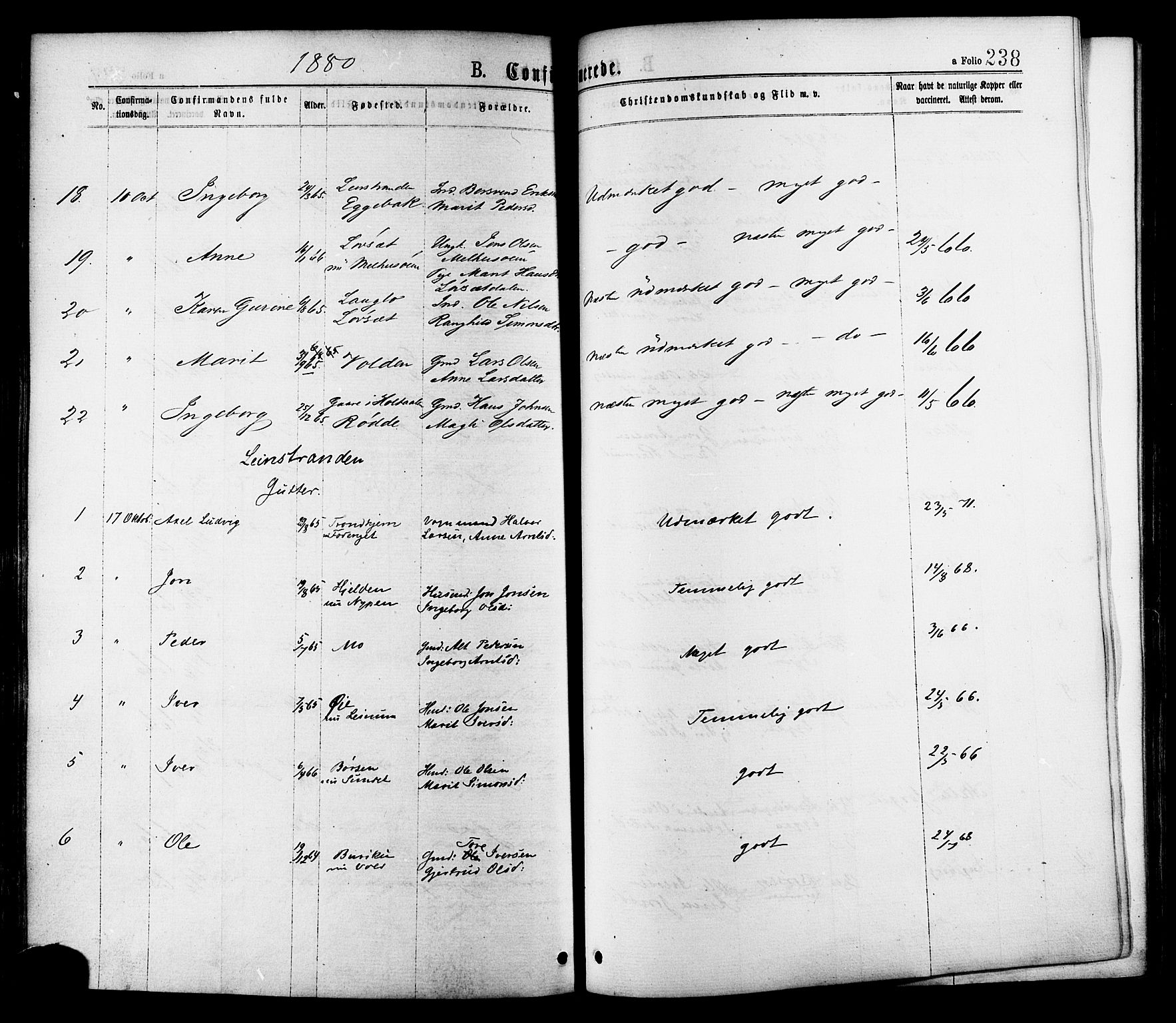 Ministerialprotokoller, klokkerbøker og fødselsregistre - Sør-Trøndelag, SAT/A-1456/691/L1079: Ministerialbok nr. 691A11, 1873-1886, s. 238