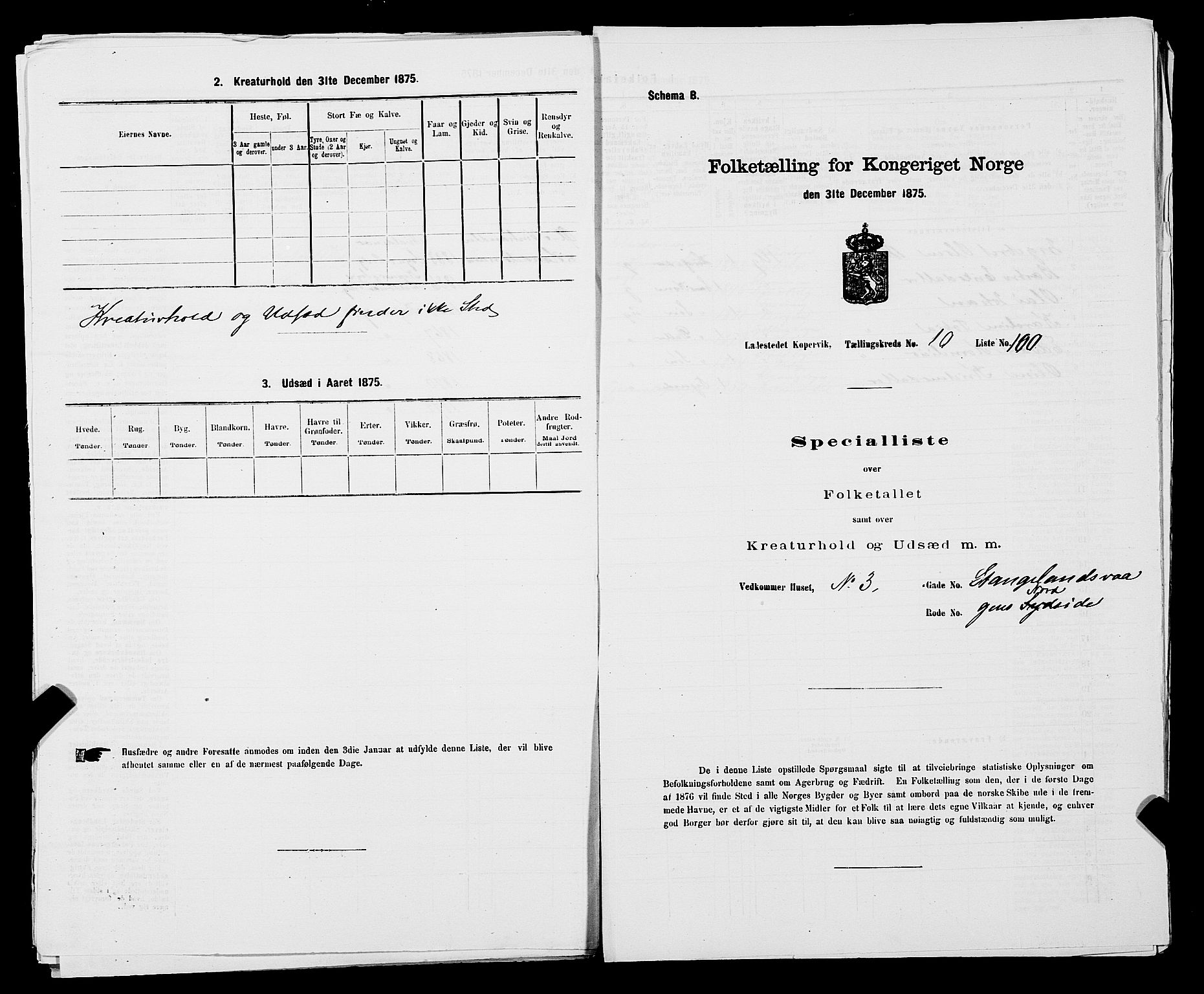 SAST, Folketelling 1875 for 1105B Avaldsnes prestegjeld, Kopervik ladested, 1875, s. 199