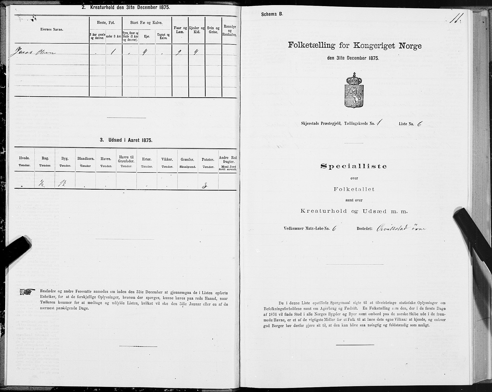 SAT, Folketelling 1875 for 1842P Skjerstad prestegjeld, 1875, s. 1011