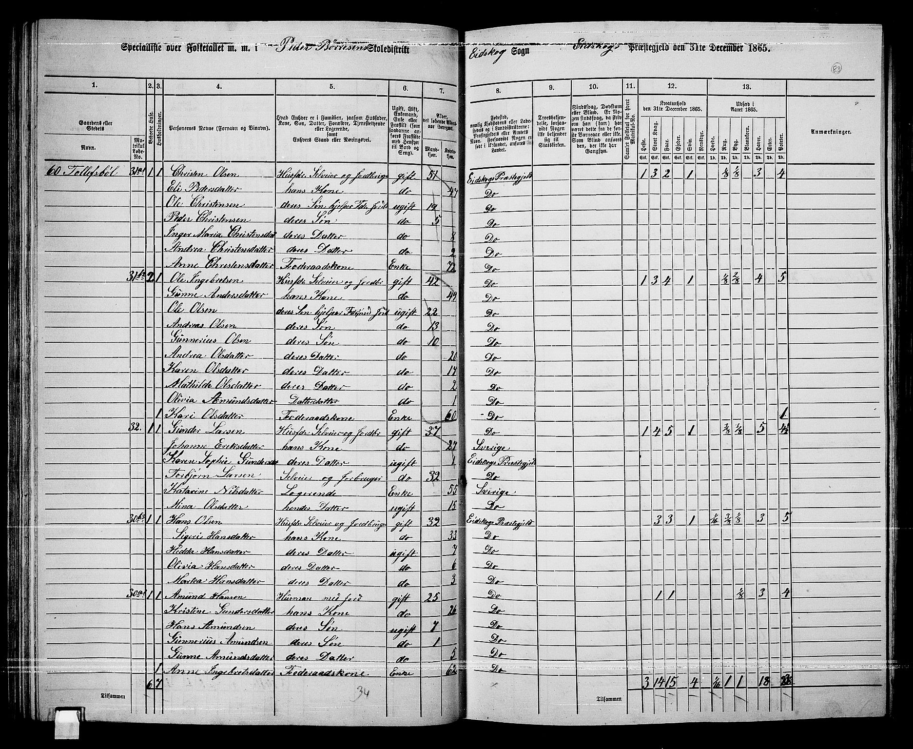 RA, Folketelling 1865 for 0420P Eidskog prestegjeld, 1865, s. 73