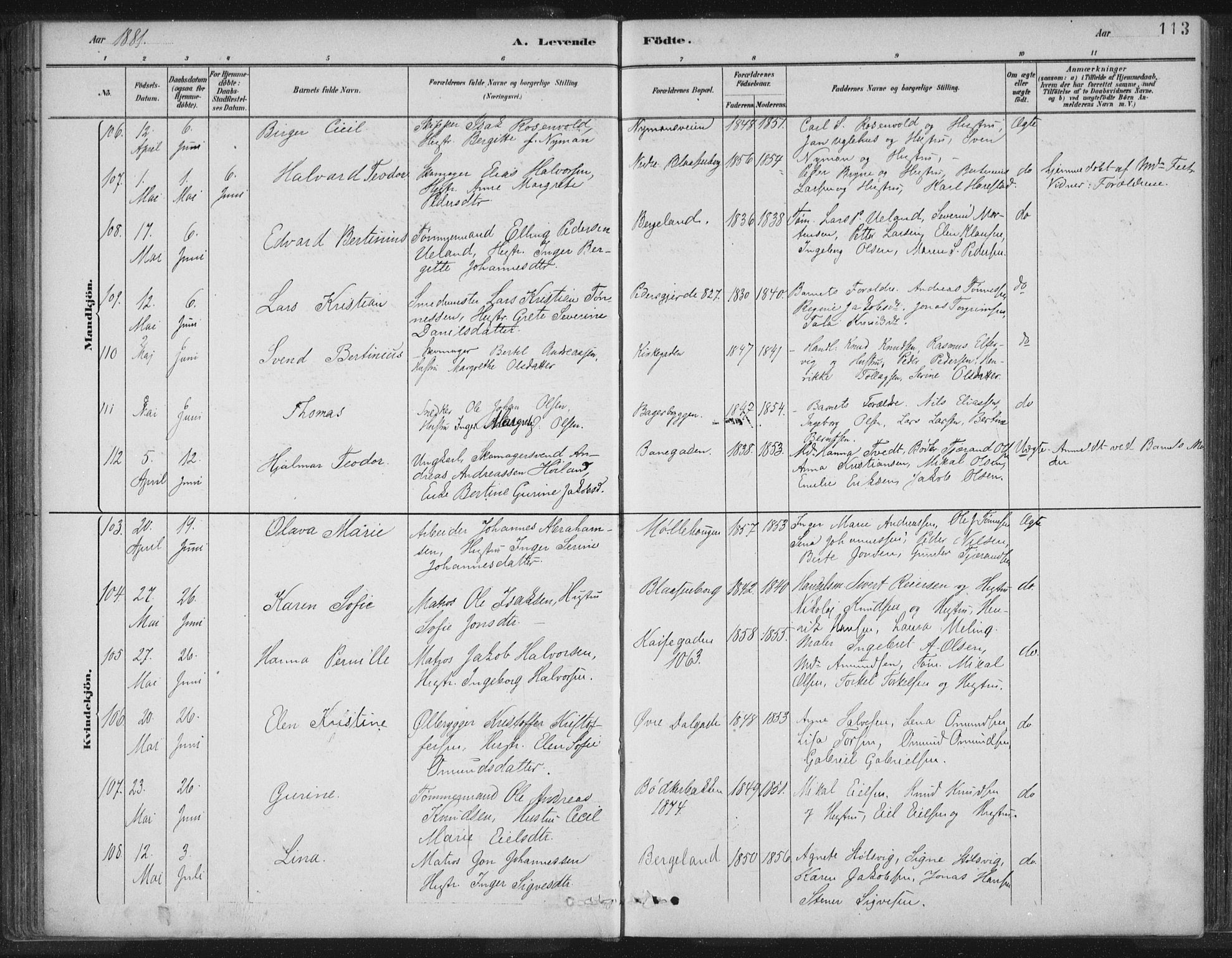 St. Petri sokneprestkontor, AV/SAST-A-101813/001/30/30BB/L0004: Klokkerbok nr. B 4, 1878-1890, s. 113
