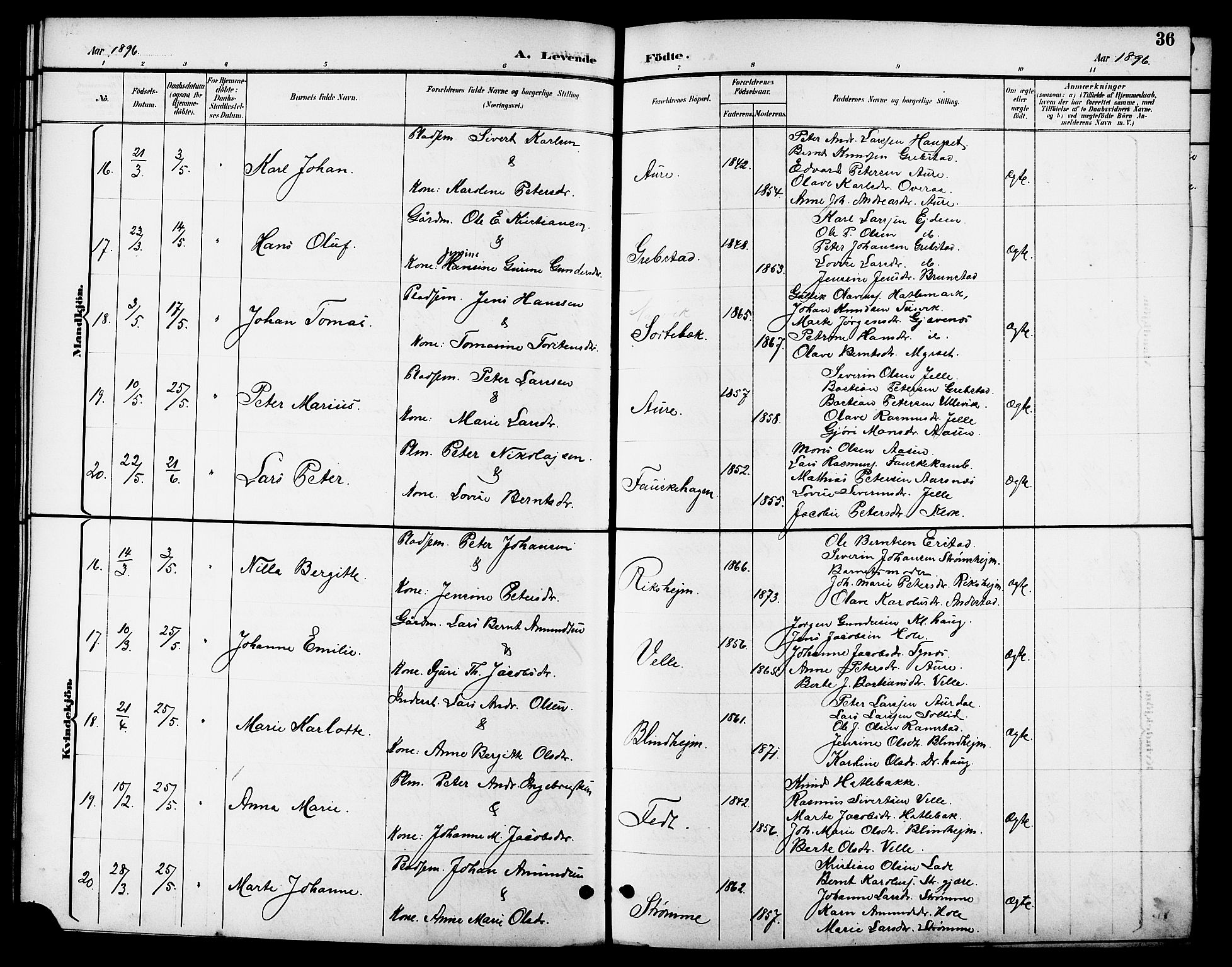 Ministerialprotokoller, klokkerbøker og fødselsregistre - Møre og Romsdal, AV/SAT-A-1454/523/L0340: Klokkerbok nr. 523C03, 1892-1902, s. 36