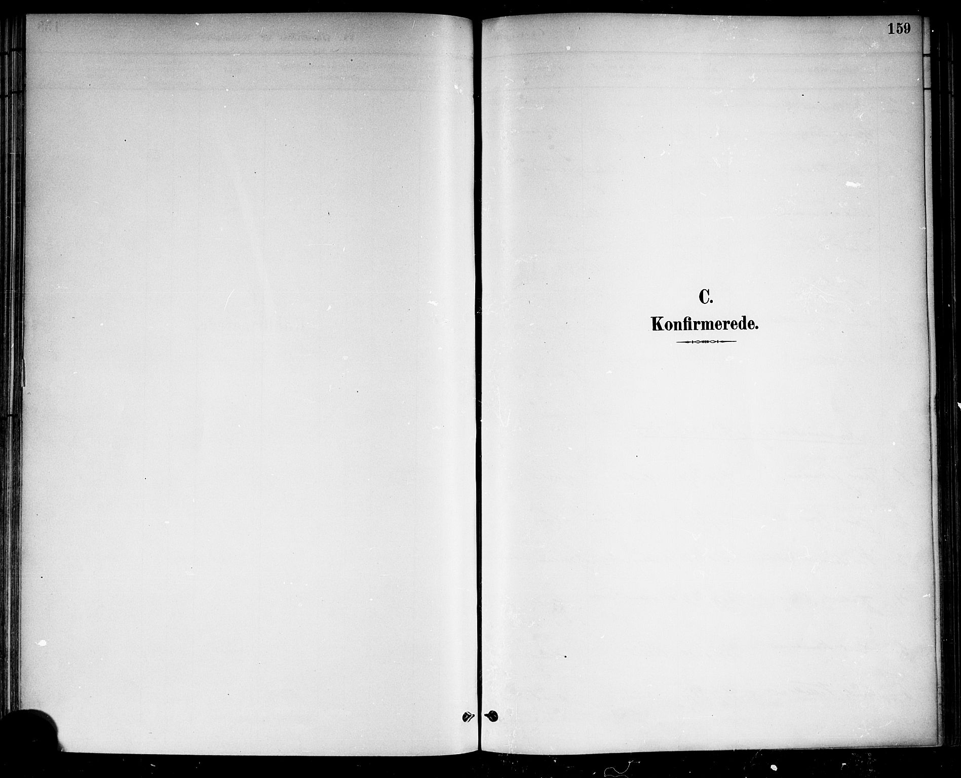 Drangedal kirkebøker, SAKO/A-258/F/Fa/L0010: Ministerialbok nr. 10 /2, 1885-1894, s. 159