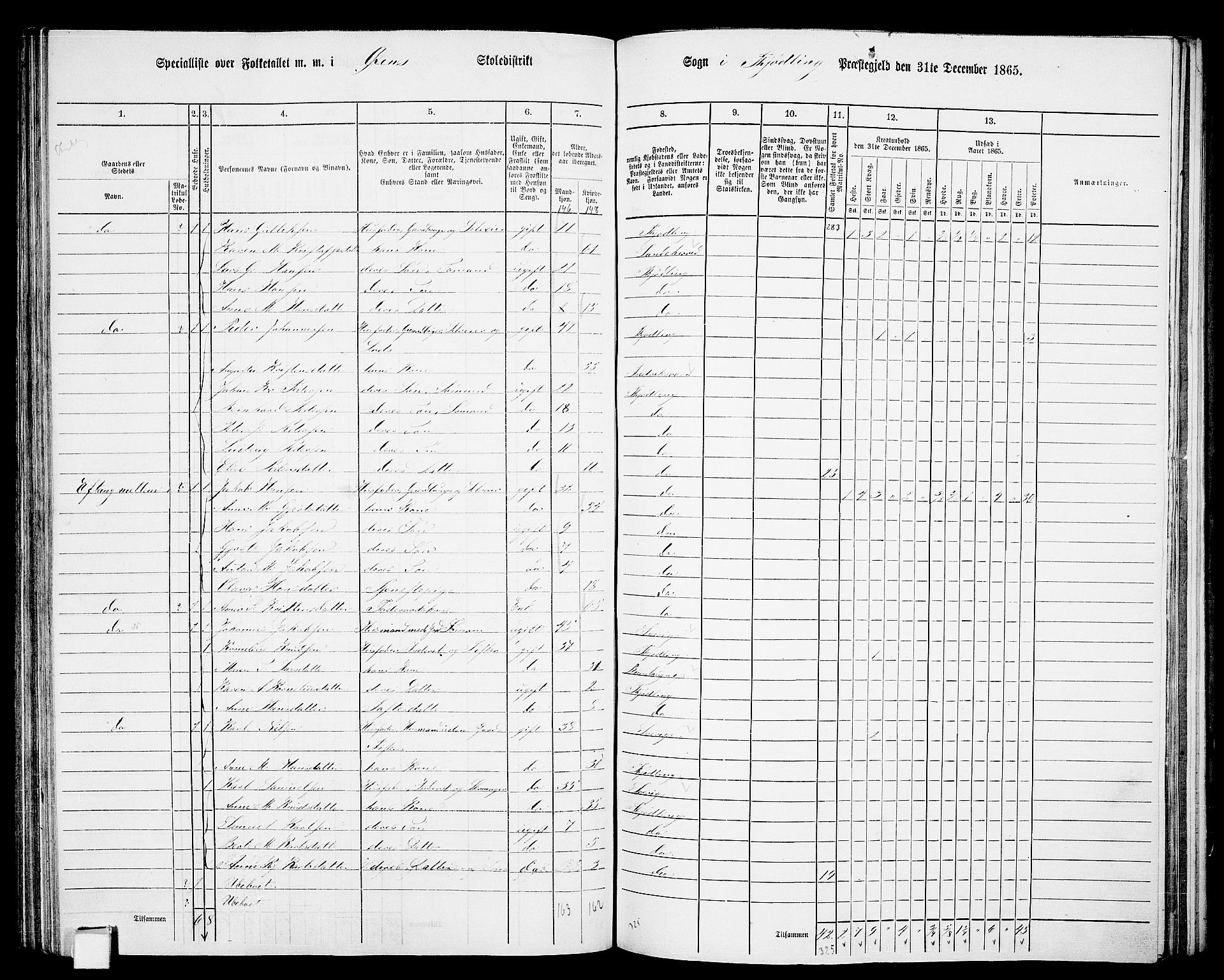 RA, Folketelling 1865 for 0725P Tjølling prestegjeld, 1865, s. 132