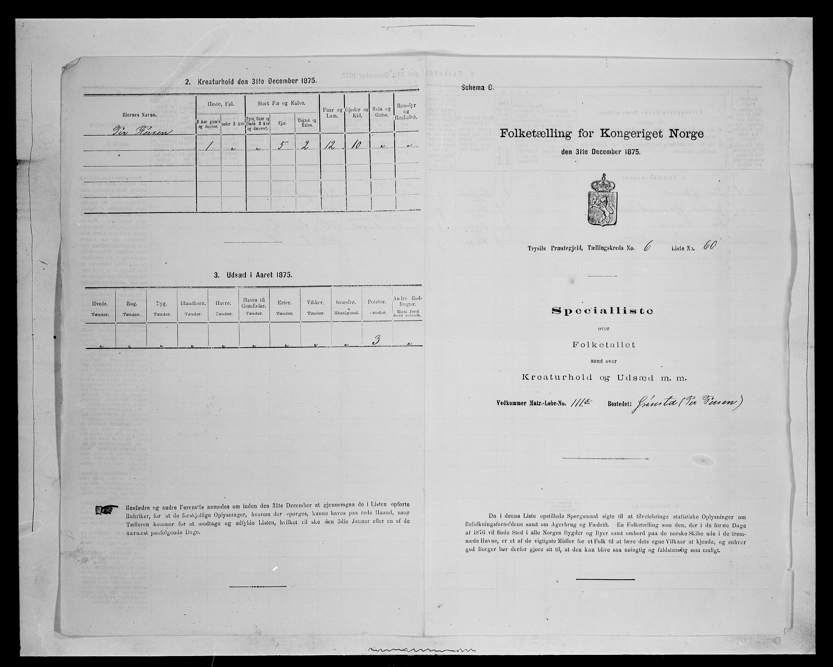 SAH, Folketelling 1875 for 0428P Trysil prestegjeld, 1875, s. 839