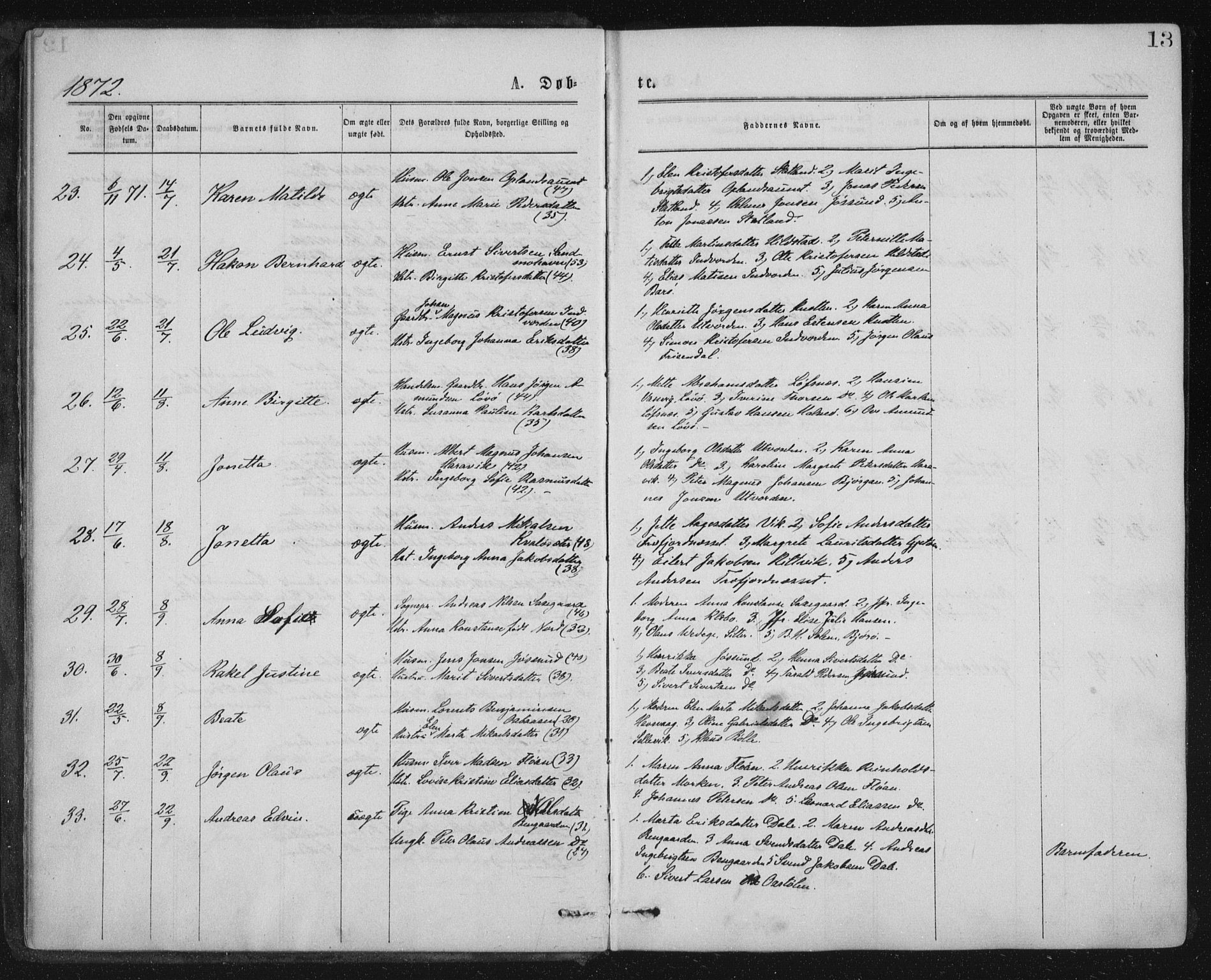Ministerialprotokoller, klokkerbøker og fødselsregistre - Nord-Trøndelag, SAT/A-1458/771/L0596: Ministerialbok nr. 771A03, 1870-1884, s. 13