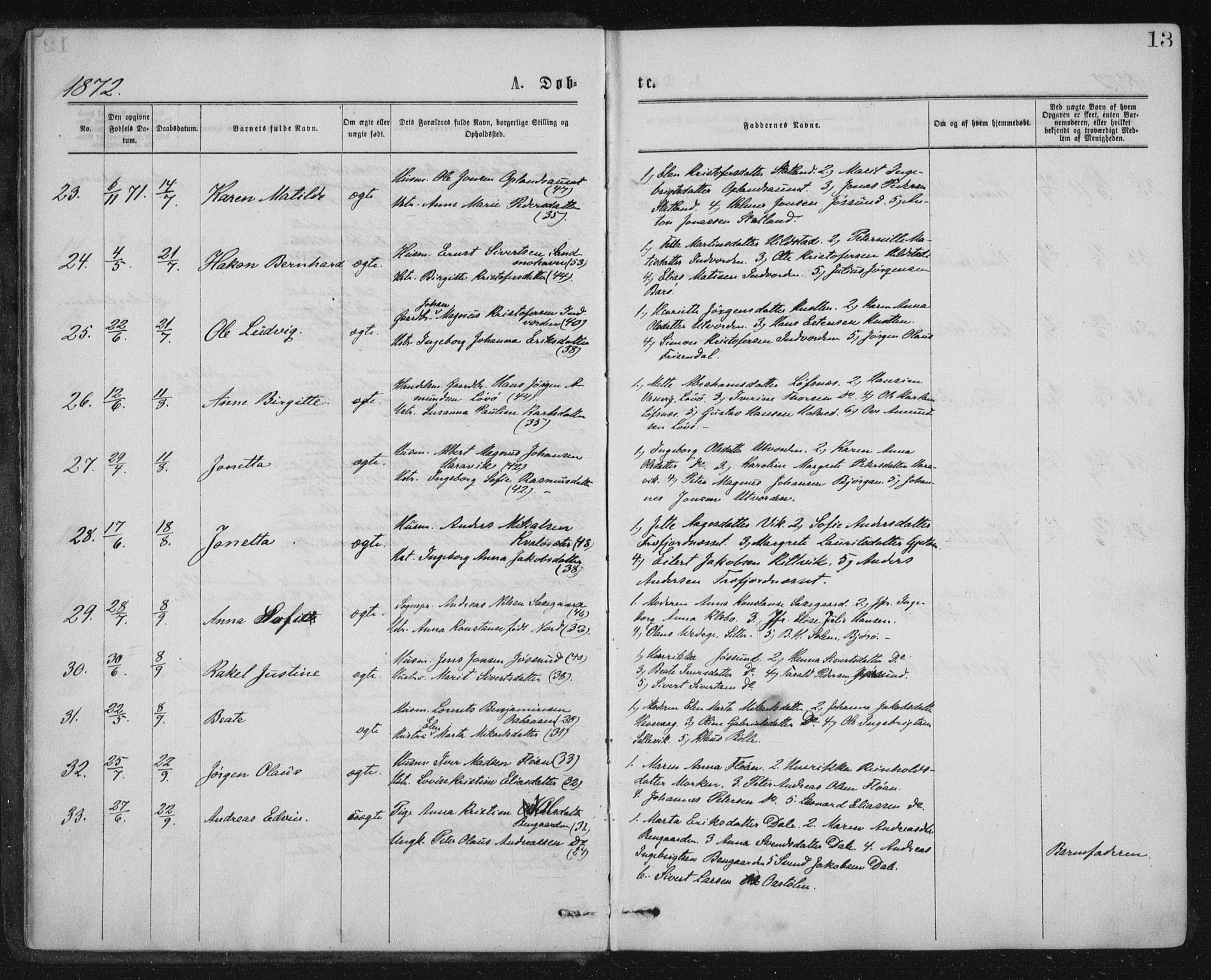 Ministerialprotokoller, klokkerbøker og fødselsregistre - Nord-Trøndelag, AV/SAT-A-1458/771/L0596: Ministerialbok nr. 771A03, 1870-1884, s. 13