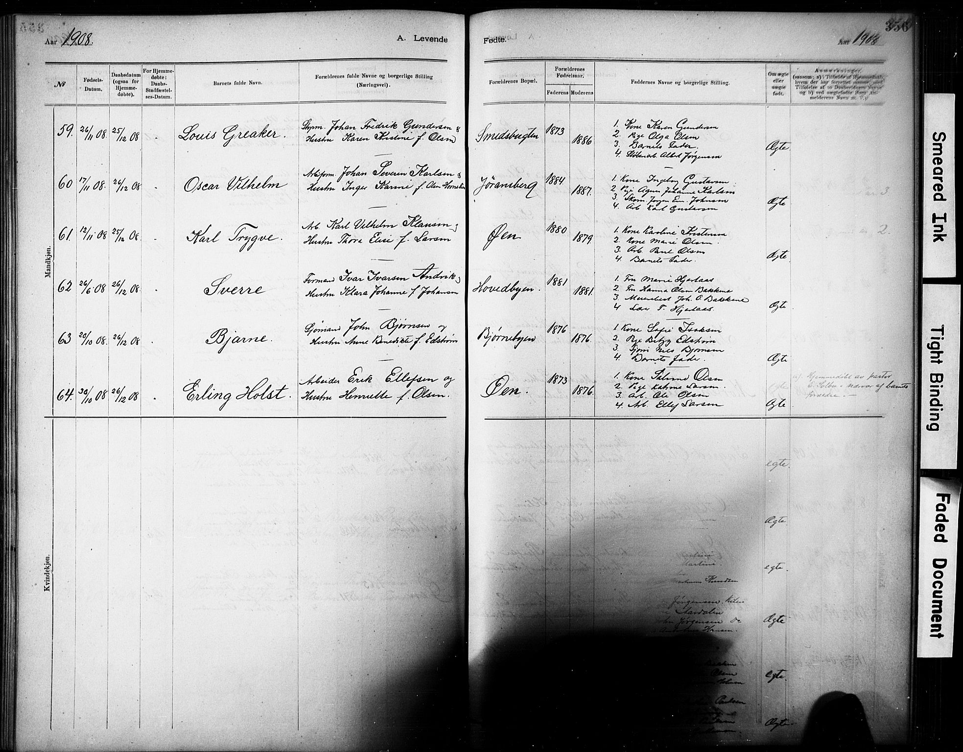 Kragerø kirkebøker, AV/SAKO-A-278/G/Ga/L0007: Klokkerbok nr. 7, 1881-1927, s. 356