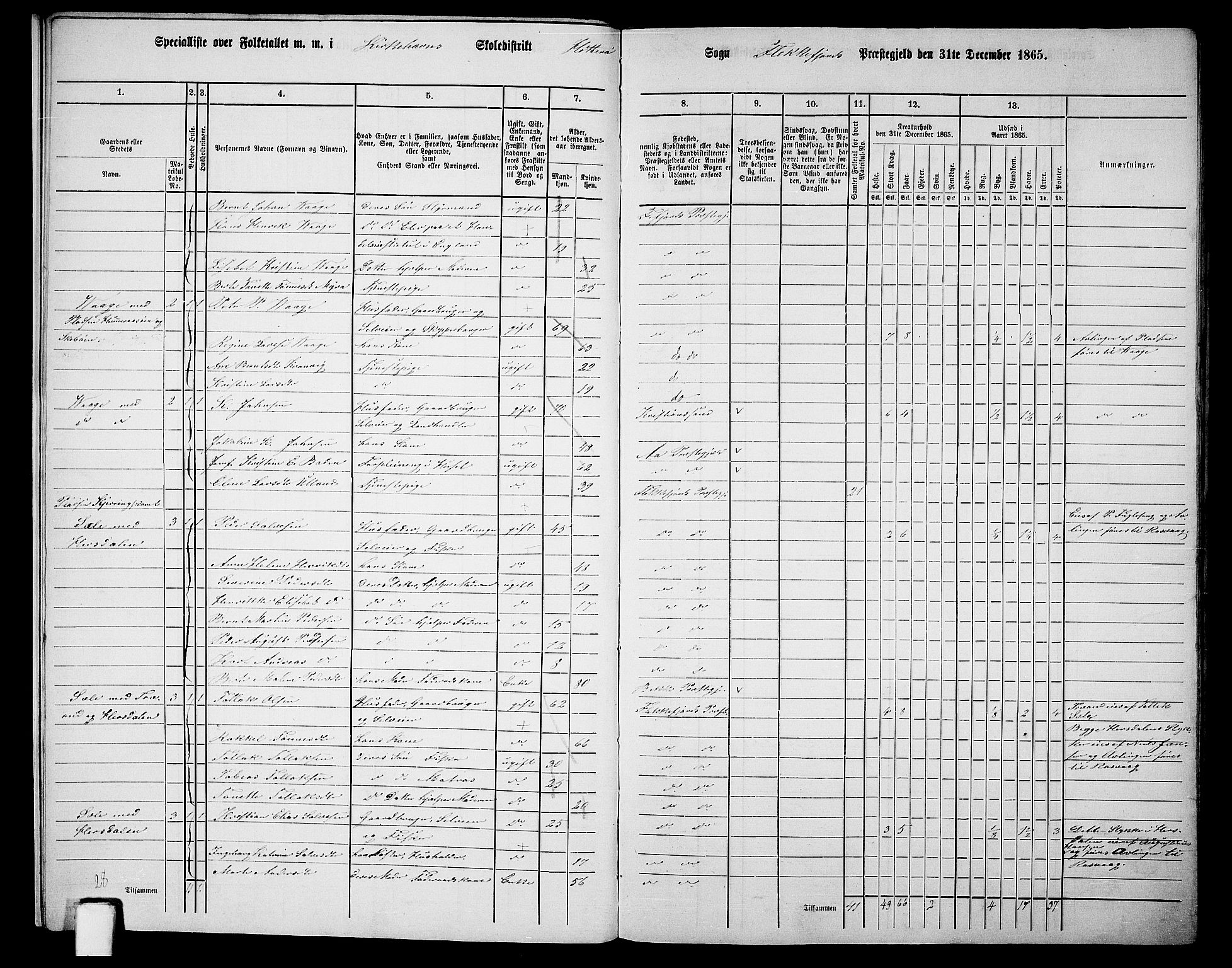 RA, Folketelling 1865 for 1042L Flekkefjord prestegjeld, Nes sokn og Hidra sokn, 1865, s. 11