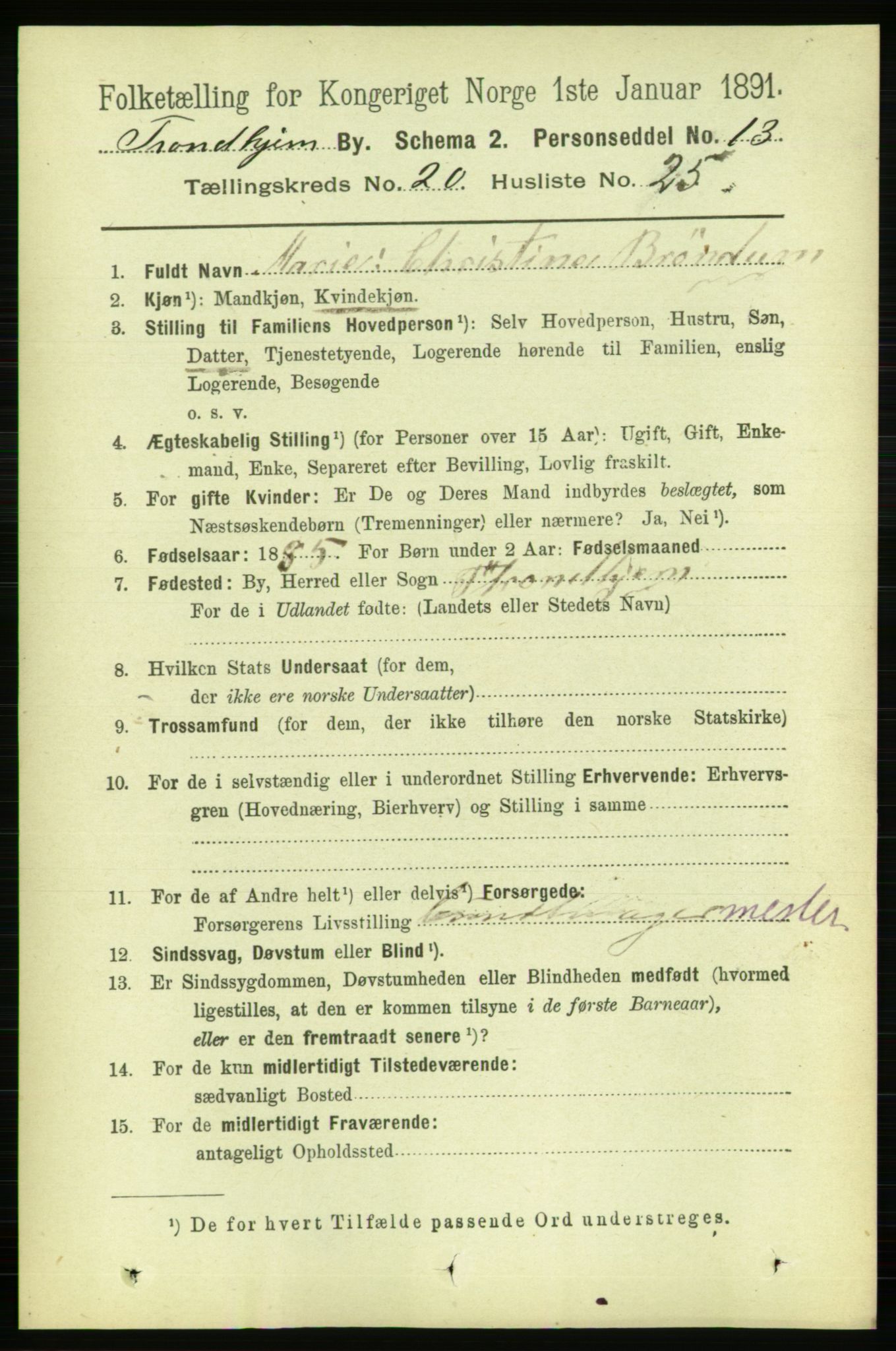 RA, Folketelling 1891 for 1601 Trondheim kjøpstad, 1891, s. 15513