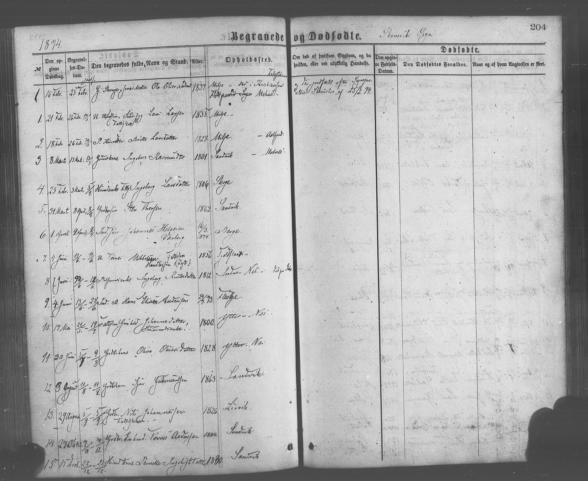 Skånevik sokneprestembete, AV/SAB-A-77801/H/Haa: Ministerialbok nr. A 6, 1869-1878, s. 204