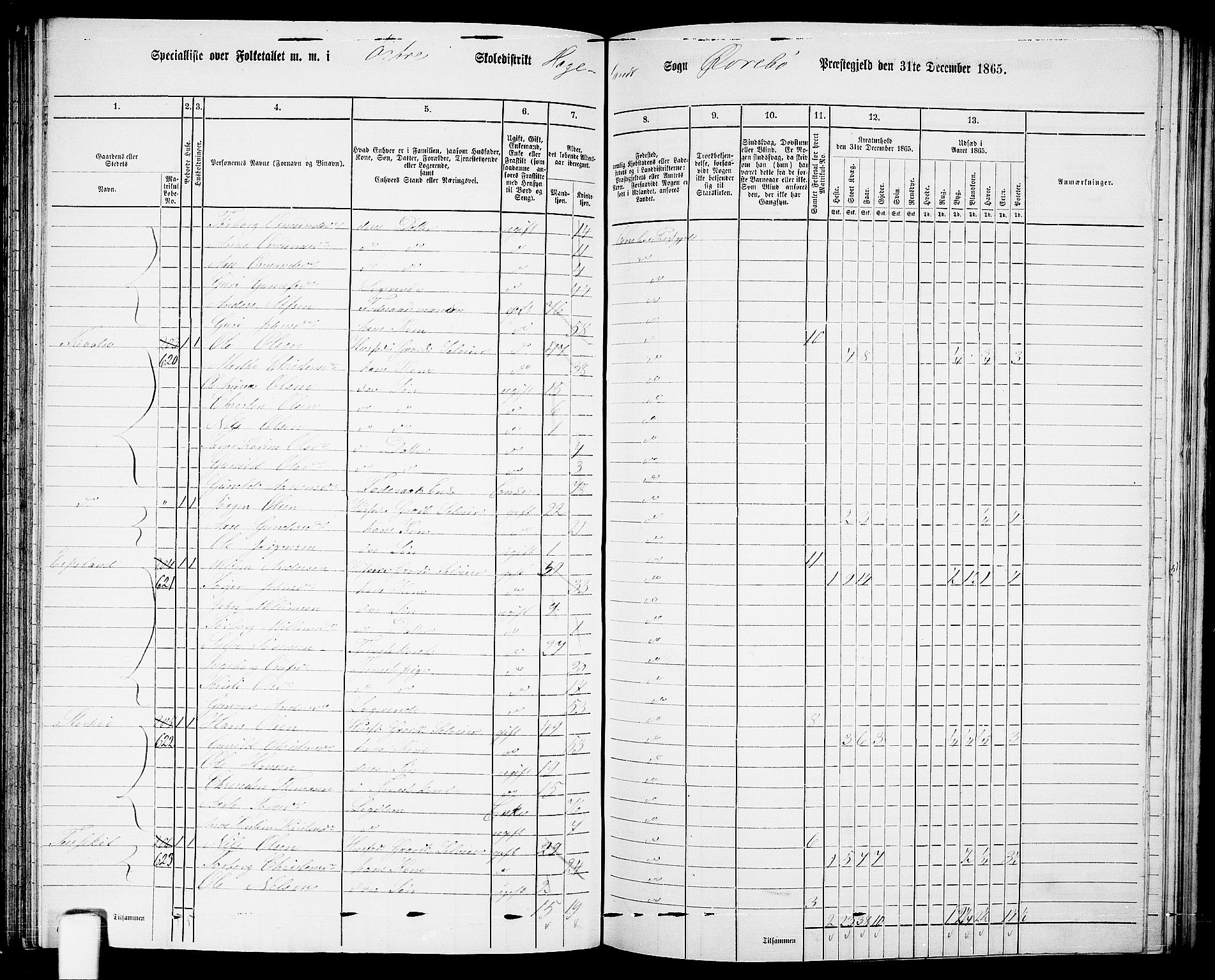 RA, Folketelling 1865 for 1016P Øvrebø prestegjeld, 1865, s. 77