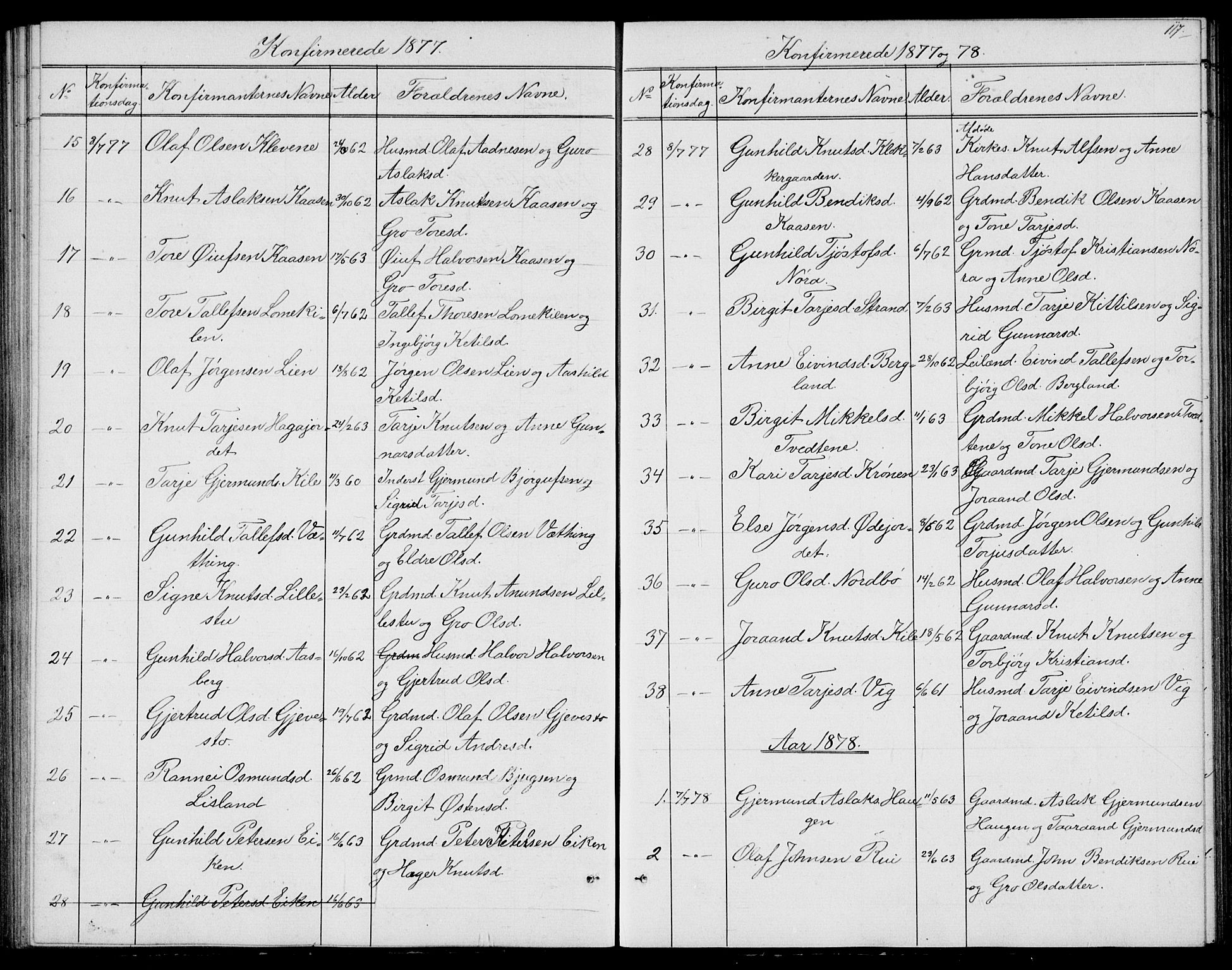 Fyresdal kirkebøker, AV/SAKO-A-263/G/Ga/L0004: Klokkerbok nr. I 4, 1864-1892, s. 117