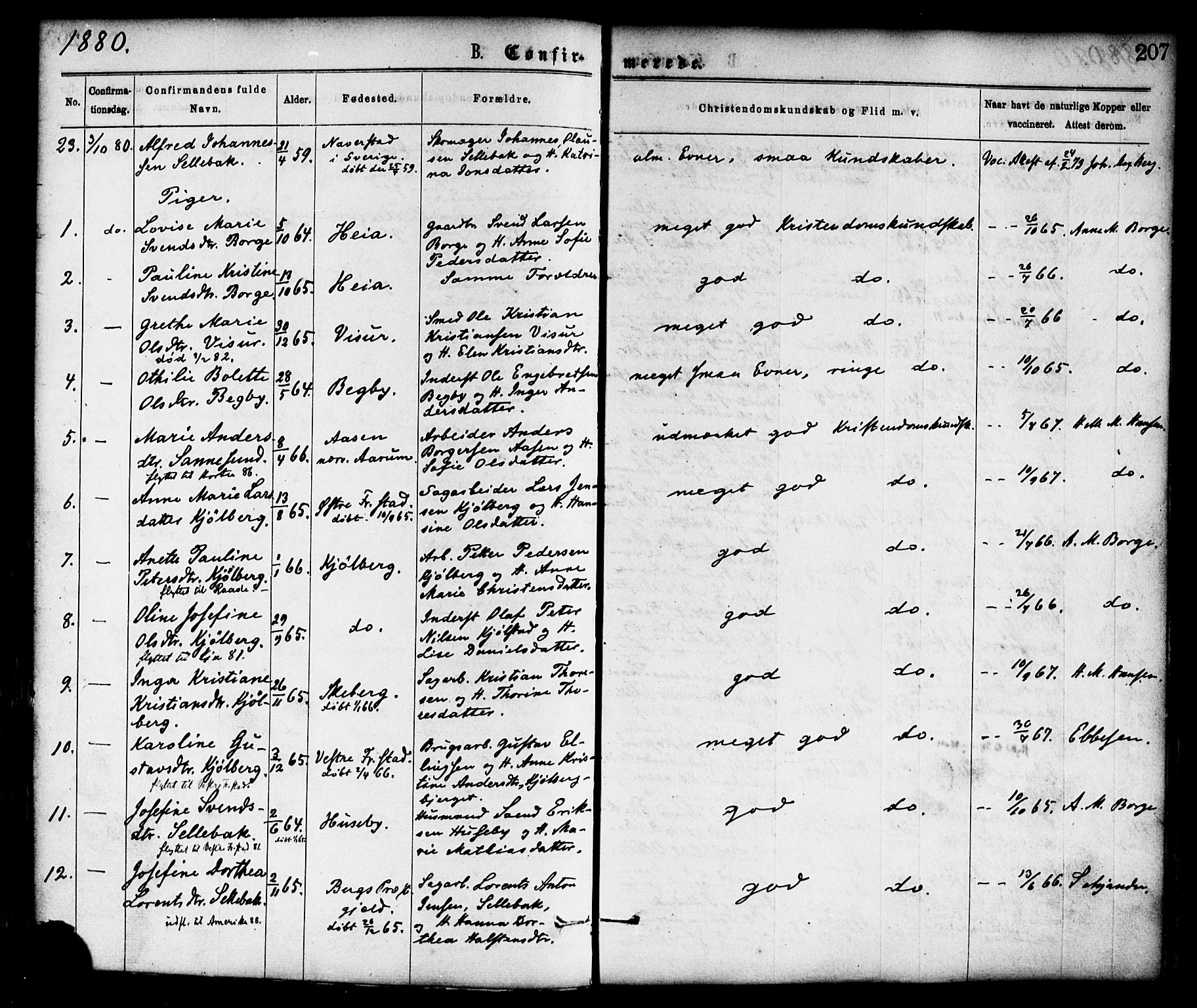 Borge prestekontor Kirkebøker, AV/SAO-A-10903/F/Fa/L0007: Ministerialbok nr. I 7, 1875-1886, s. 207