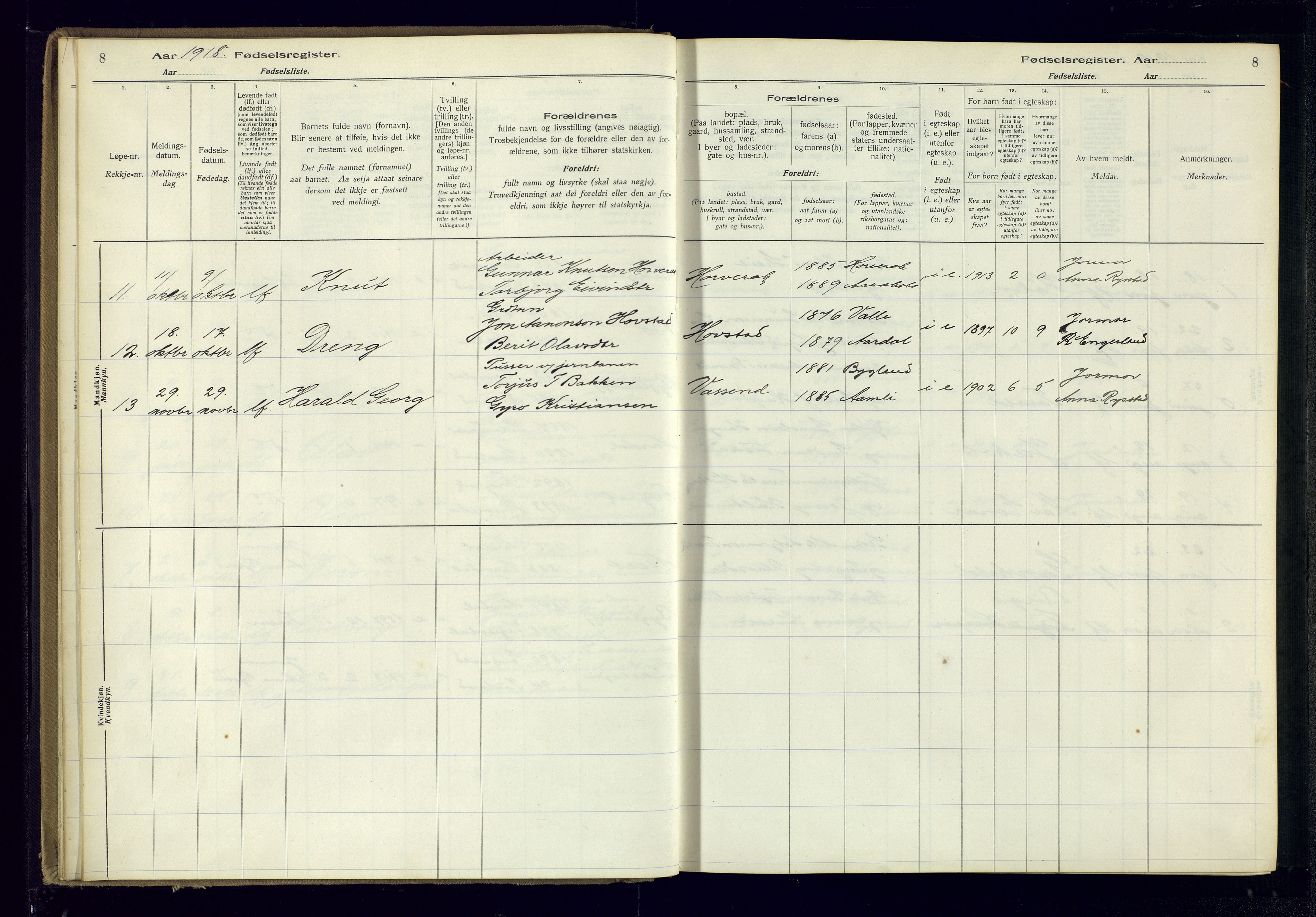 Bygland sokneprestkontor, AV/SAK-1111-0006/J/Ja/L0004: Fødselsregister nr. II.4.5, 1916-1983, s. 8