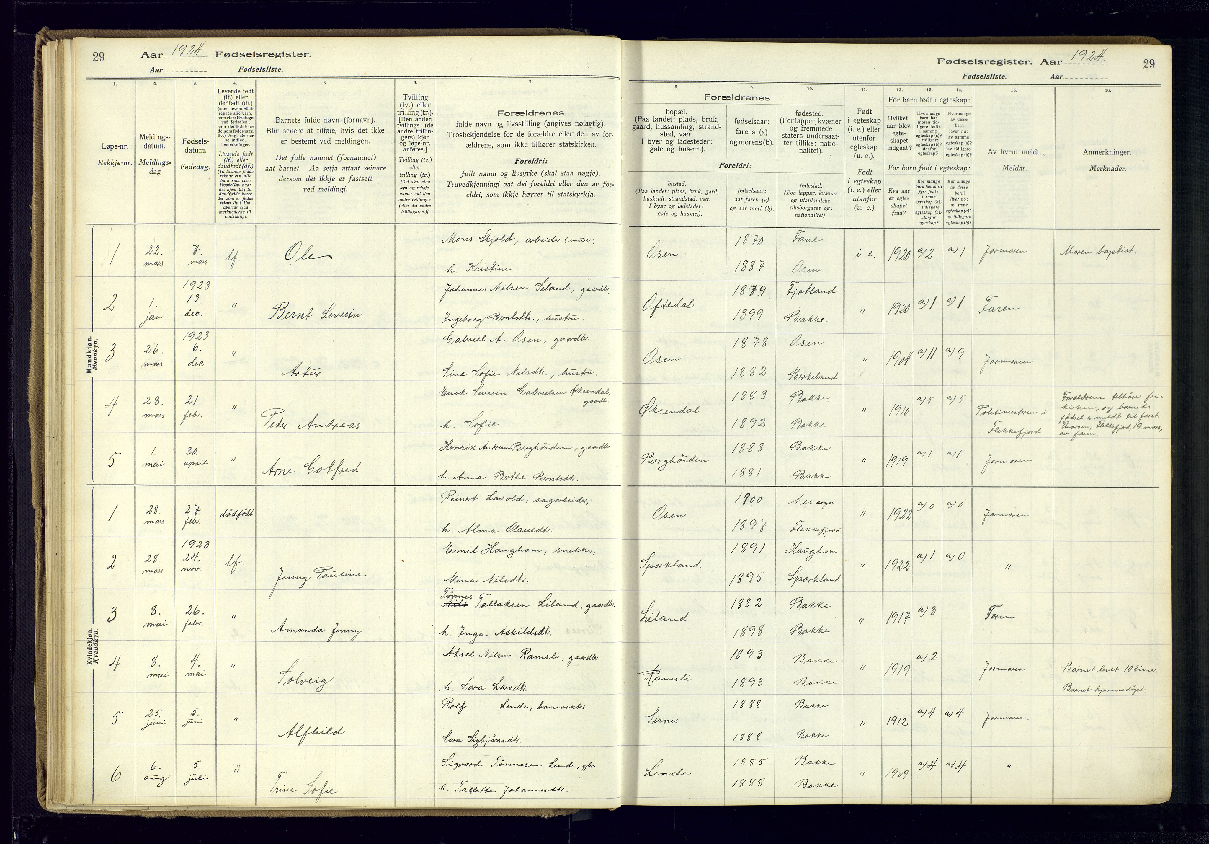 Bakke sokneprestkontor, AV/SAK-1111-0002/J/Ja/L0001: Fødselsregister nr. A-VI-18, 1916-1982, s. 29