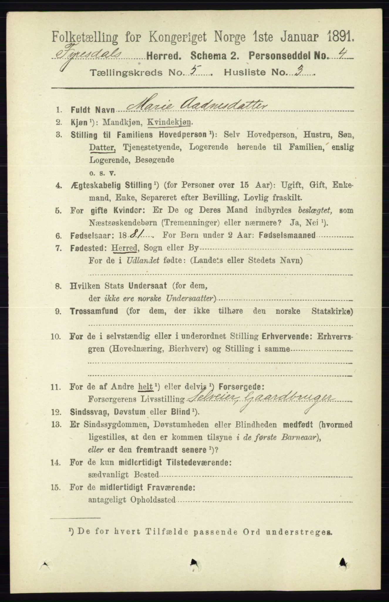 RA, Folketelling 1891 for 0831 Fyresdal herred, 1891, s. 1301