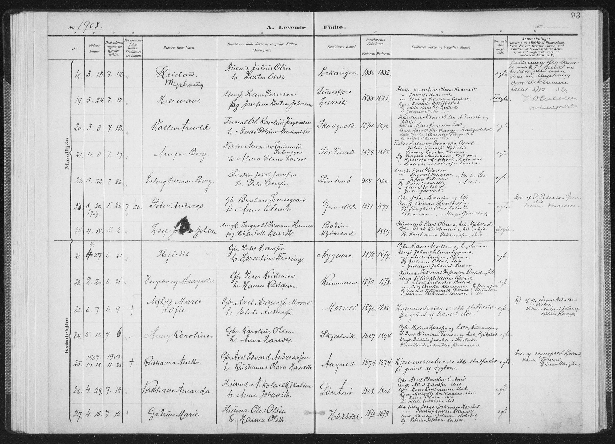 Ministerialprotokoller, klokkerbøker og fødselsregistre - Nordland, SAT/A-1459/805/L0102: Ministerialbok nr. 805A08I, 1900-1909, s. 93