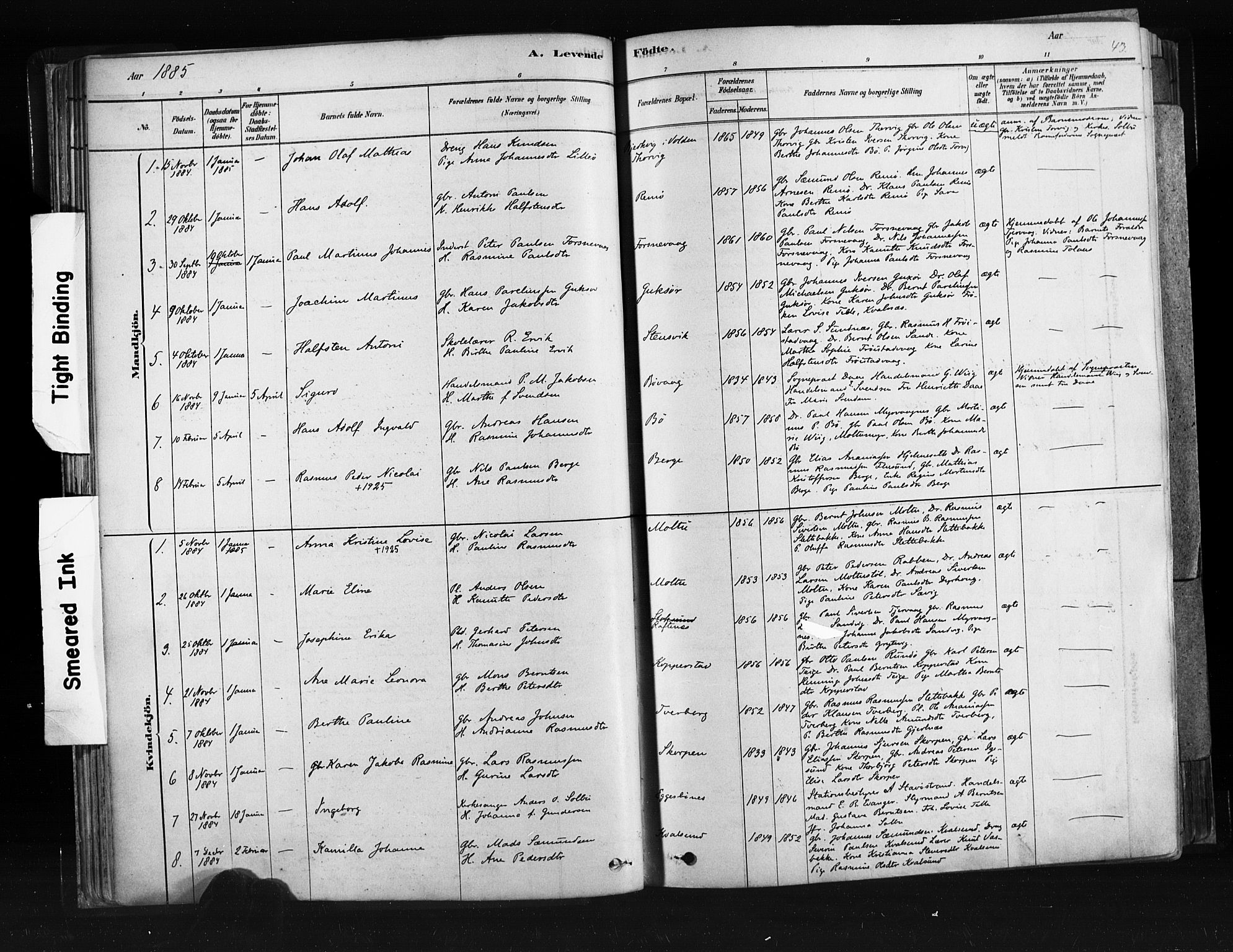 Ministerialprotokoller, klokkerbøker og fødselsregistre - Møre og Romsdal, SAT/A-1454/507/L0073: Ministerialbok nr. 507A08, 1878-1904, s. 43