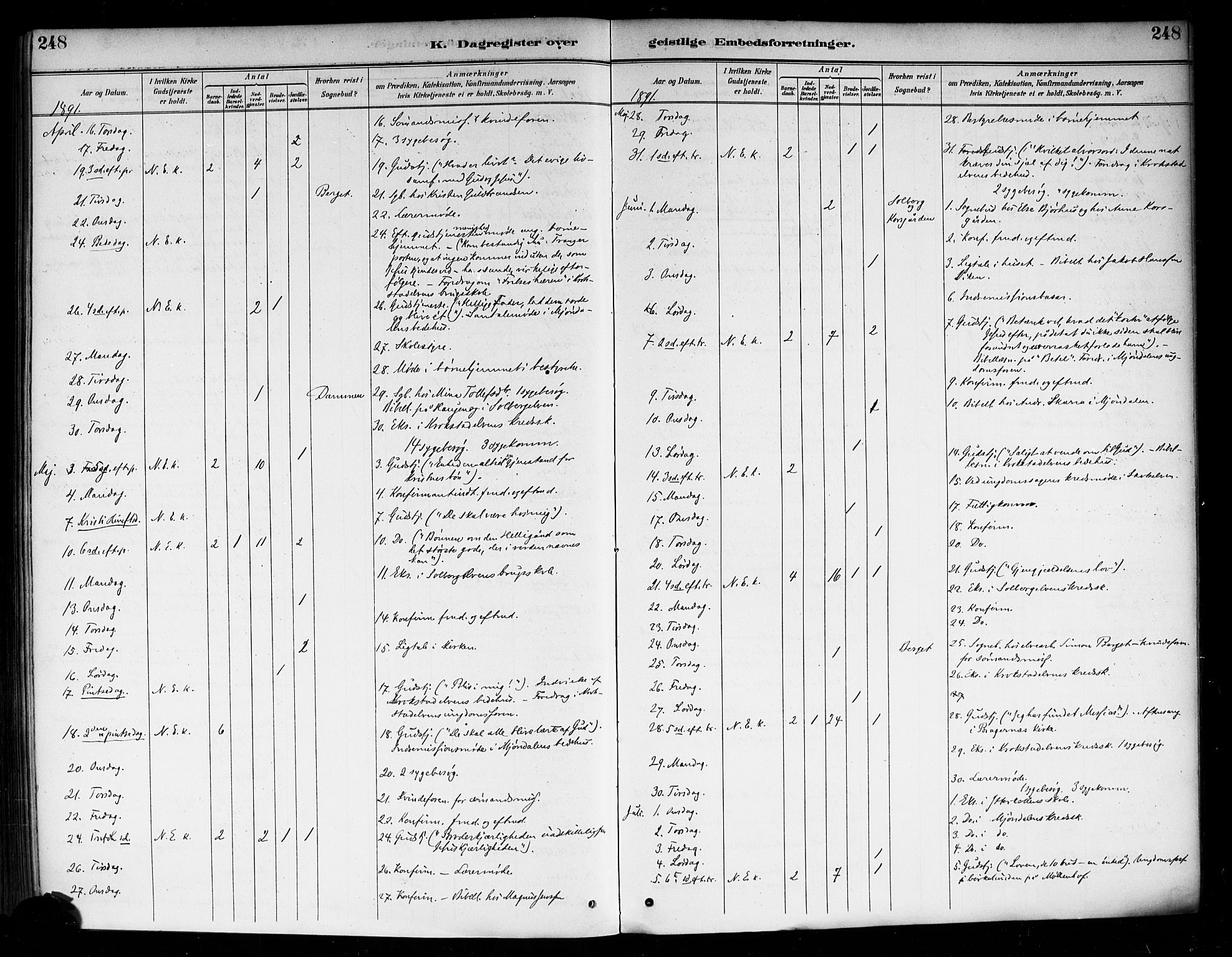 Nedre Eiker kirkebøker, AV/SAKO-A-612/F/Fa/L0003: Ministerialbok nr. 3, 1885-1892, s. 248