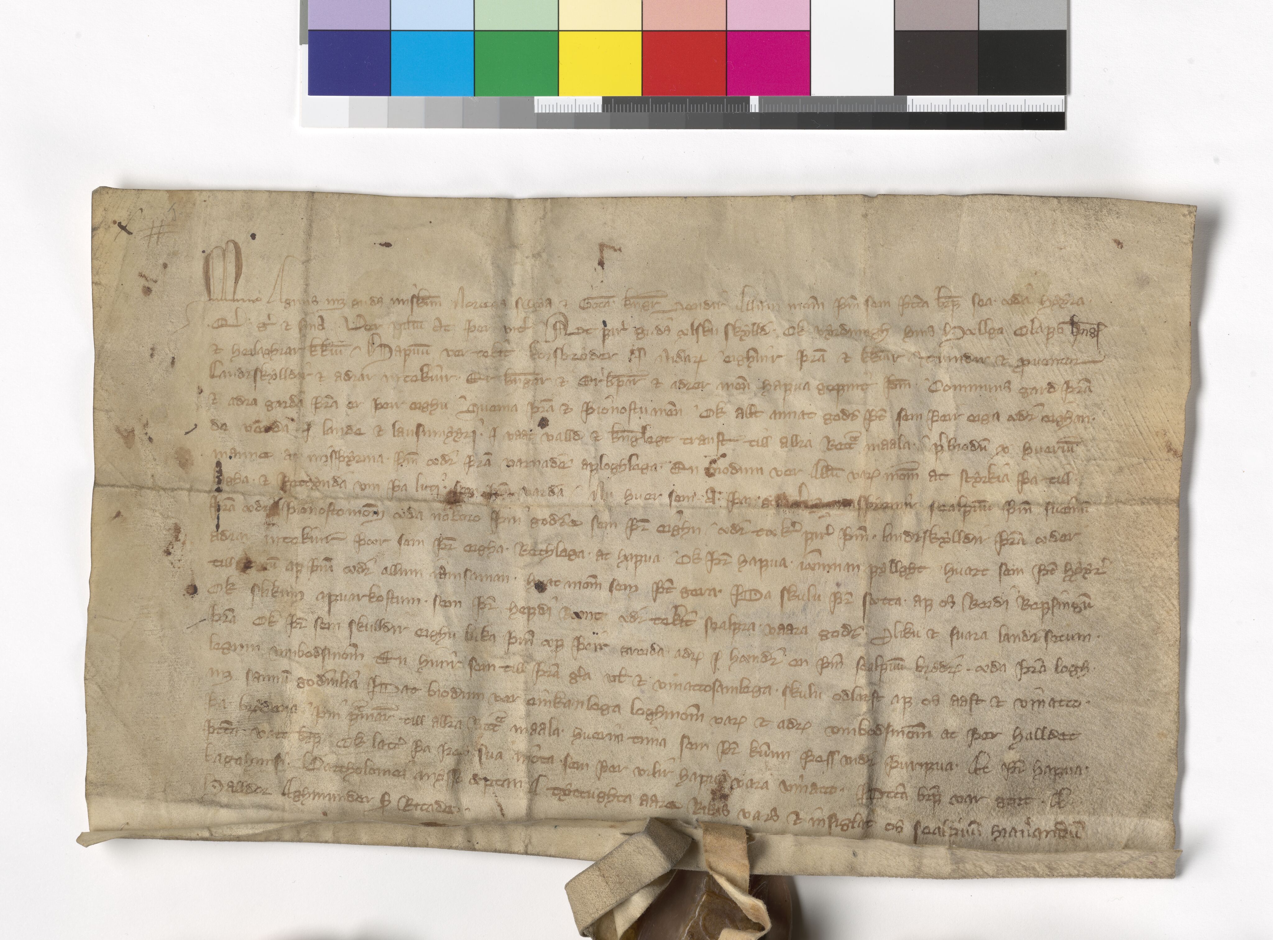 Riksarkivets diplomsamling, AV/RA-EA-5965/F05/L0004: NRA AM fasc. 2 nr. 1-2c, 1301-1339, s. 21