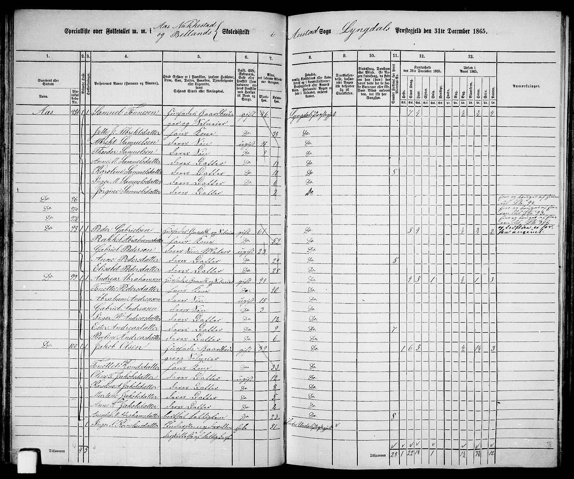 RA, Folketelling 1865 for 1032P Lyngdal prestegjeld, 1865, s. 60