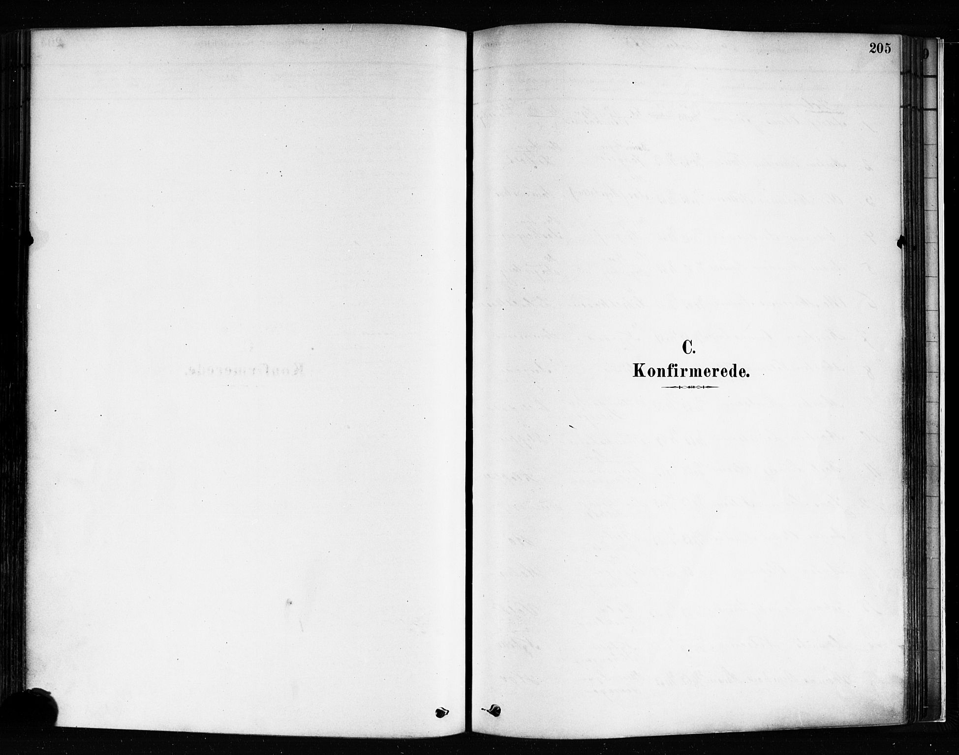 Idd prestekontor Kirkebøker, SAO/A-10911/F/Fc/L0006a: Ministerialbok nr. III 6A, 1878-1903, s. 205