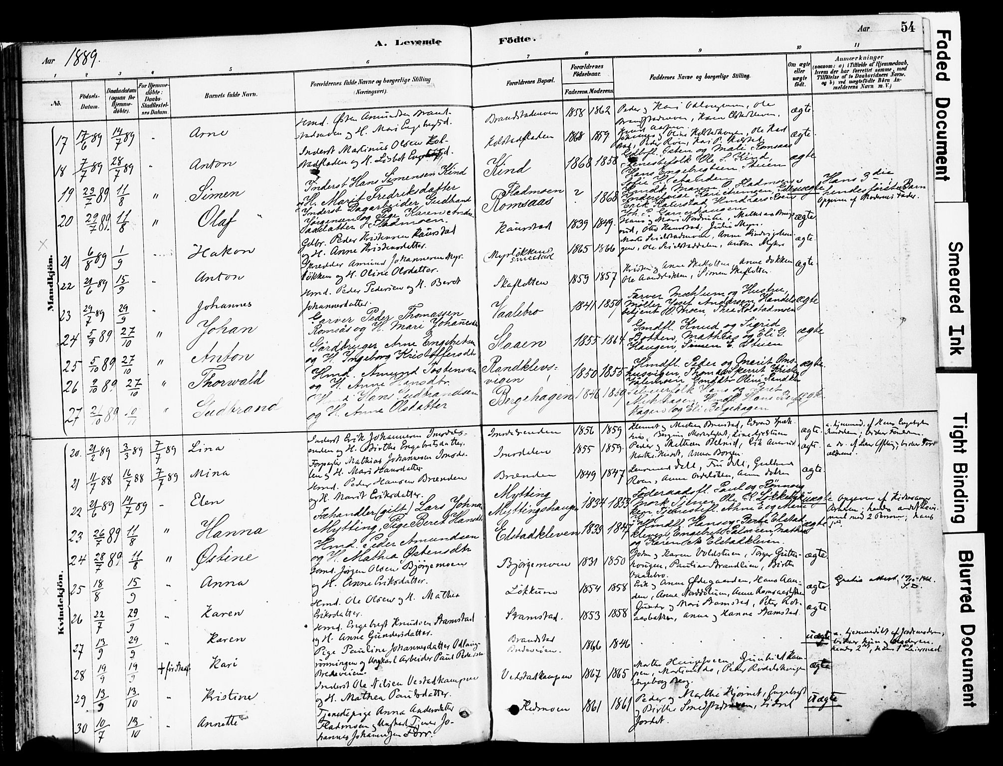 Ringebu prestekontor, AV/SAH-PREST-082/H/Ha/Haa/L0008: Ministerialbok nr. 8, 1878-1898, s. 54