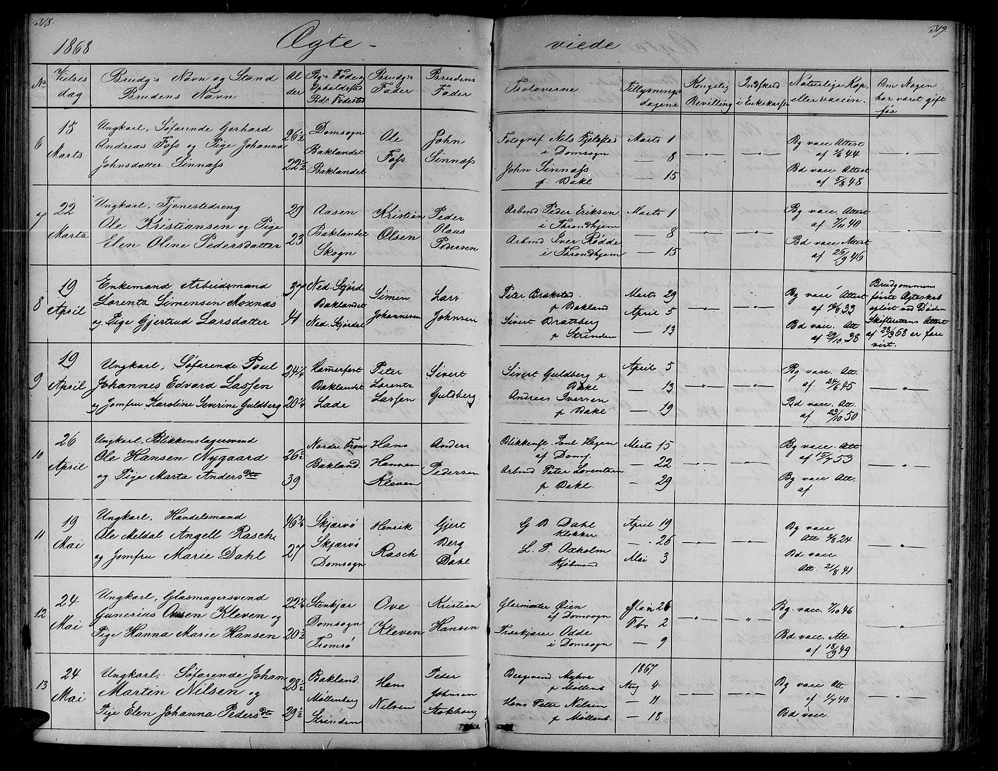 Ministerialprotokoller, klokkerbøker og fødselsregistre - Sør-Trøndelag, SAT/A-1456/604/L0219: Klokkerbok nr. 604C02, 1851-1869, s. 318-319