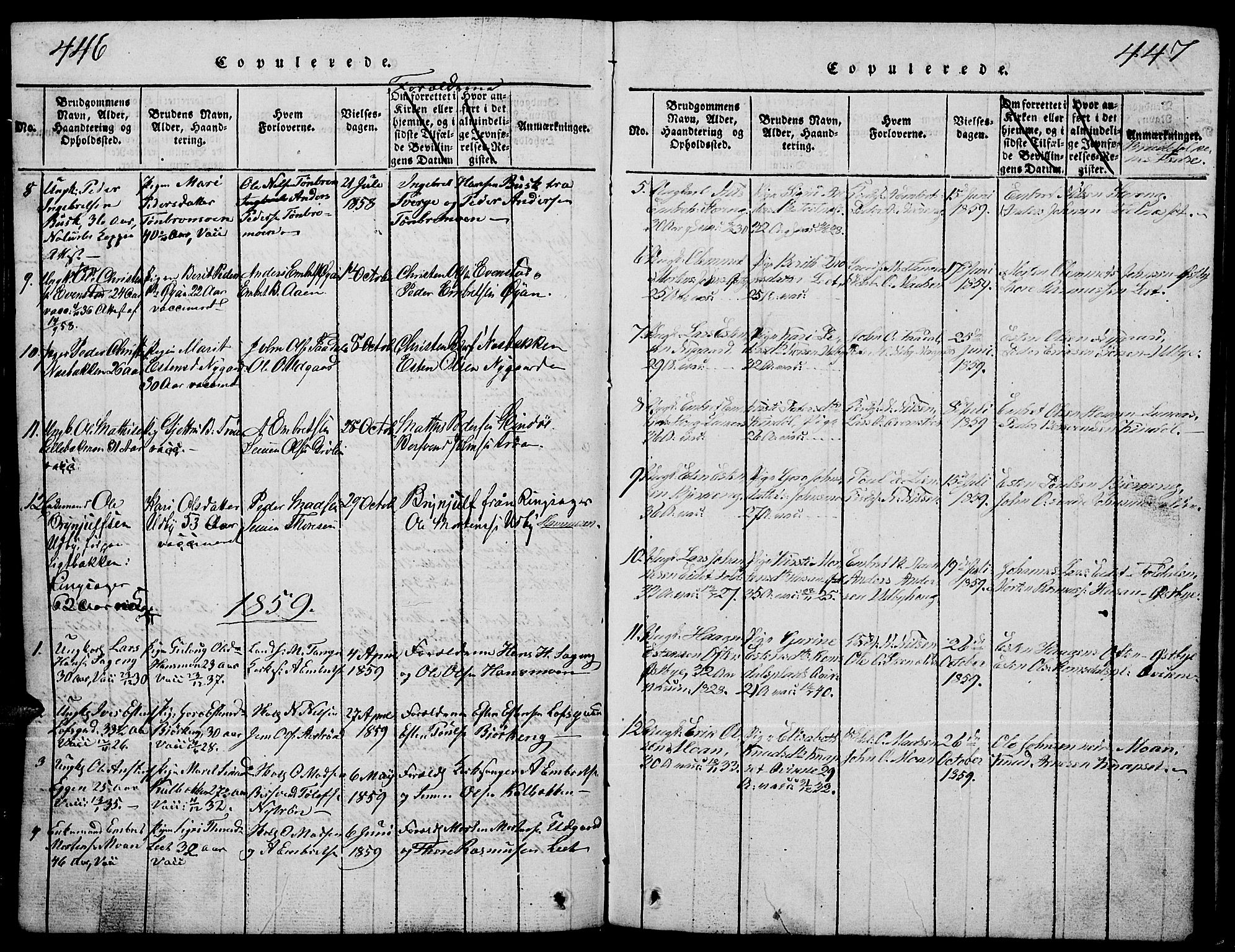 Tynset prestekontor, SAH/PREST-058/H/Ha/Hab/L0001: Klokkerbok nr. 1, 1814-1859, s. 446-447