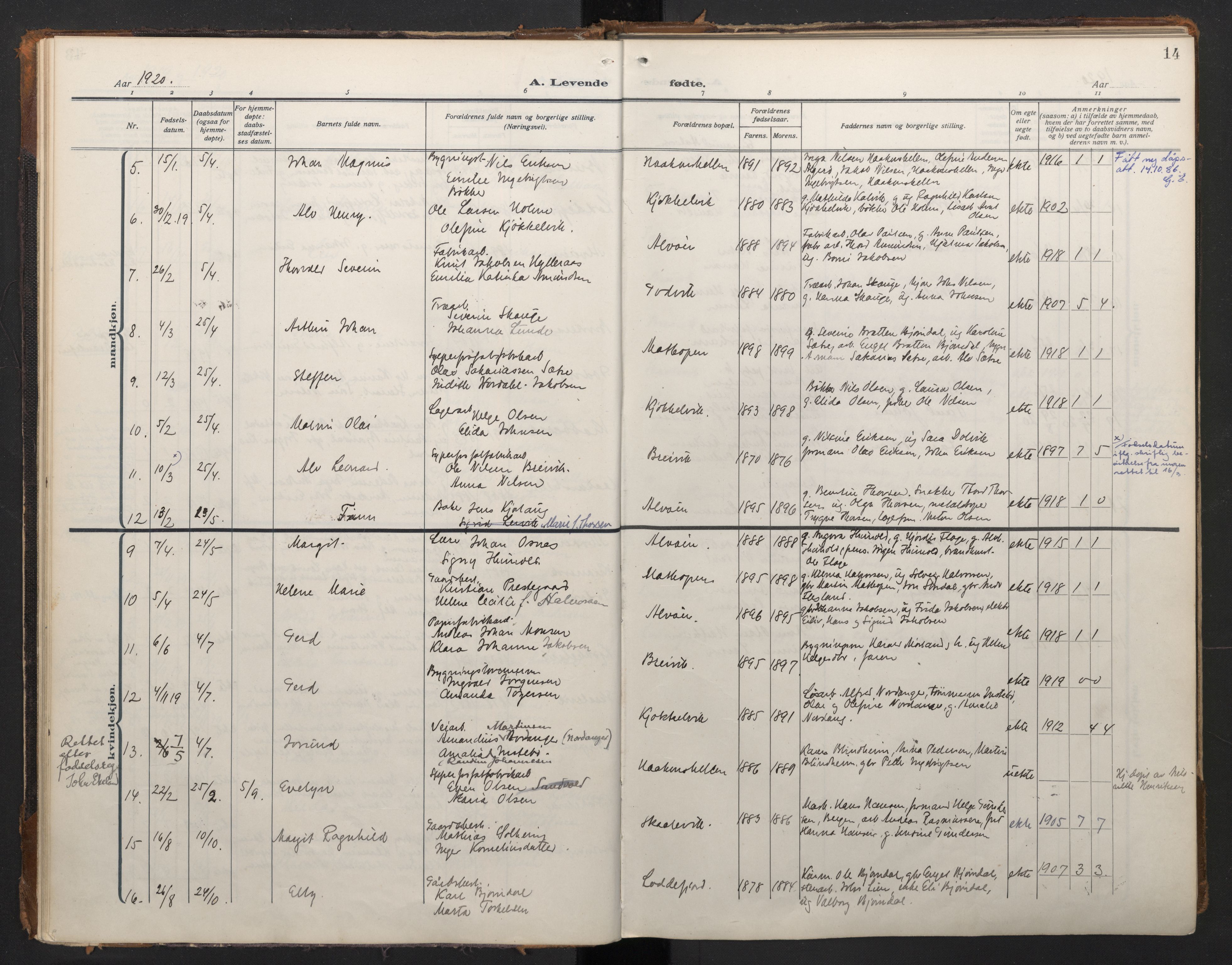 Laksevåg Sokneprestembete, AV/SAB-A-76501/H/Ha/Haa/Haah/L0001: Ministerialbok nr. H 1, 1915-1934, s. 14