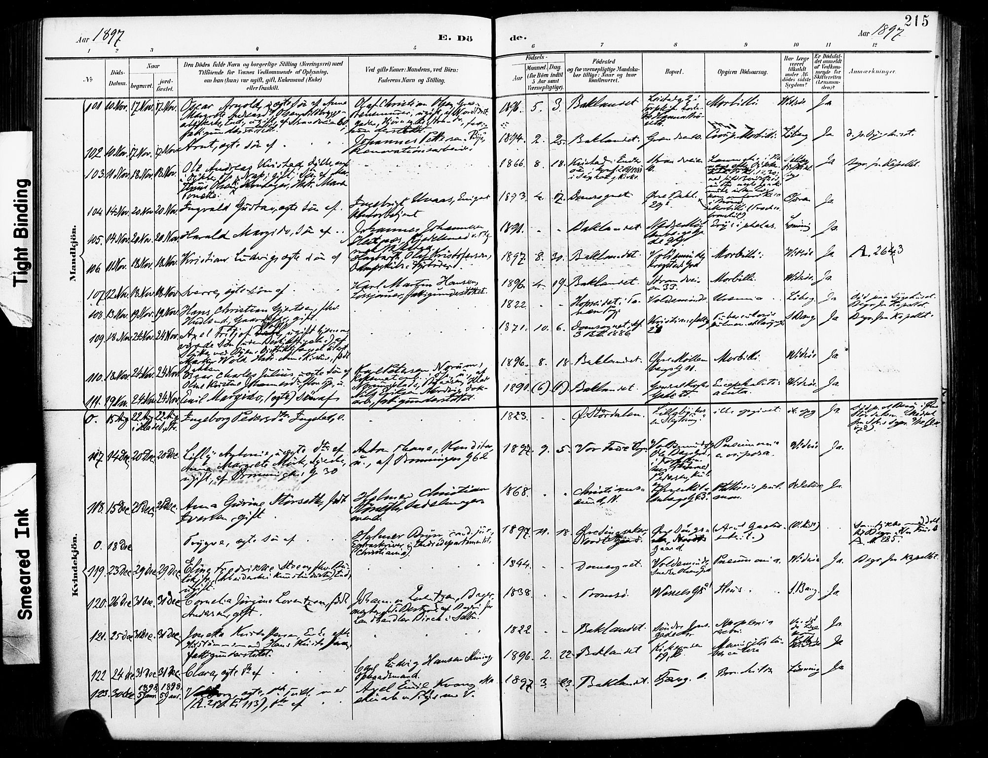 Ministerialprotokoller, klokkerbøker og fødselsregistre - Sør-Trøndelag, AV/SAT-A-1456/604/L0198: Ministerialbok nr. 604A19, 1893-1900, s. 215