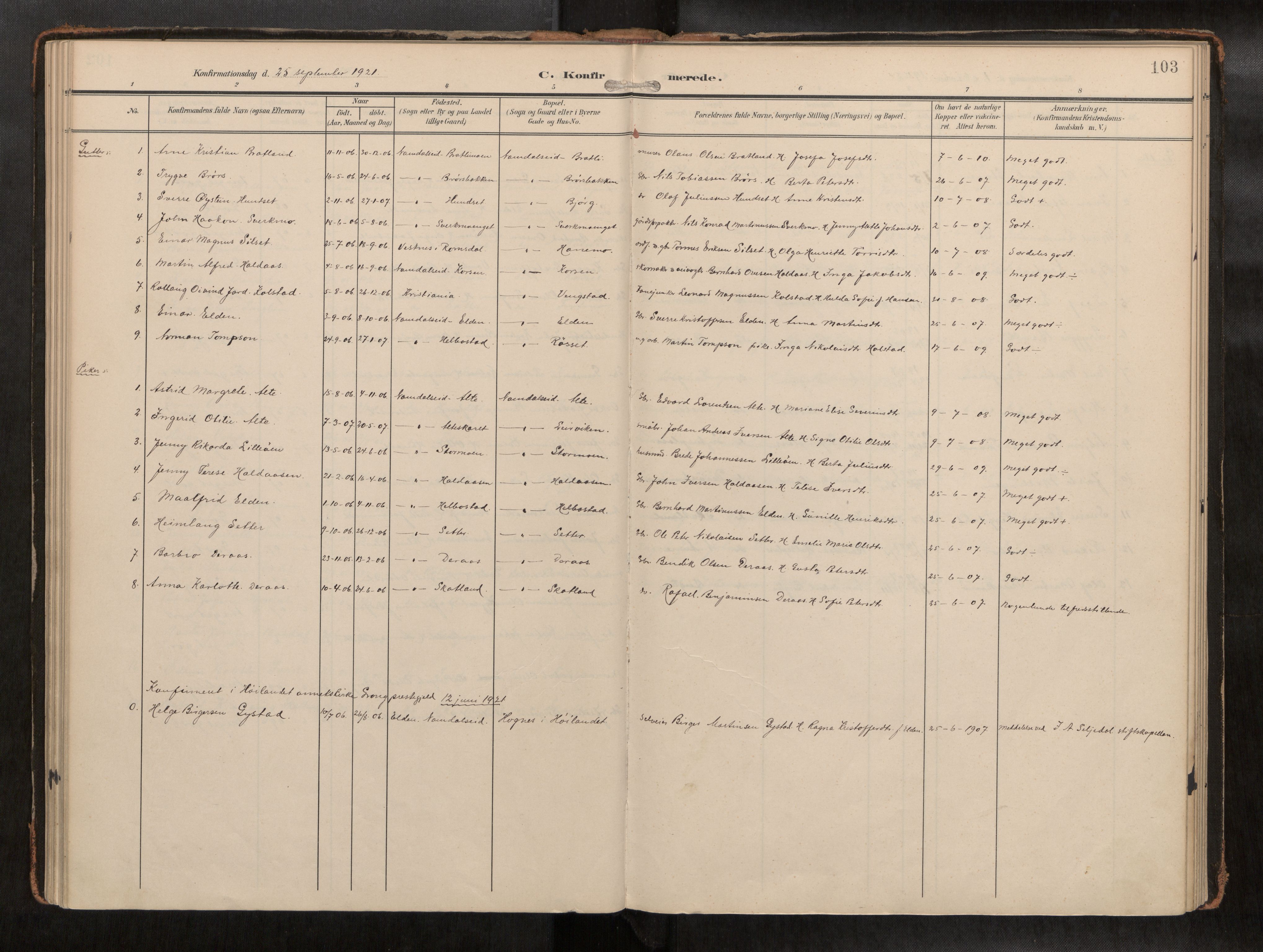 Ministerialprotokoller, klokkerbøker og fødselsregistre - Nord-Trøndelag, AV/SAT-A-1458/742/L0409a: Ministerialbok nr. 742A03, 1906-1924, s. 103