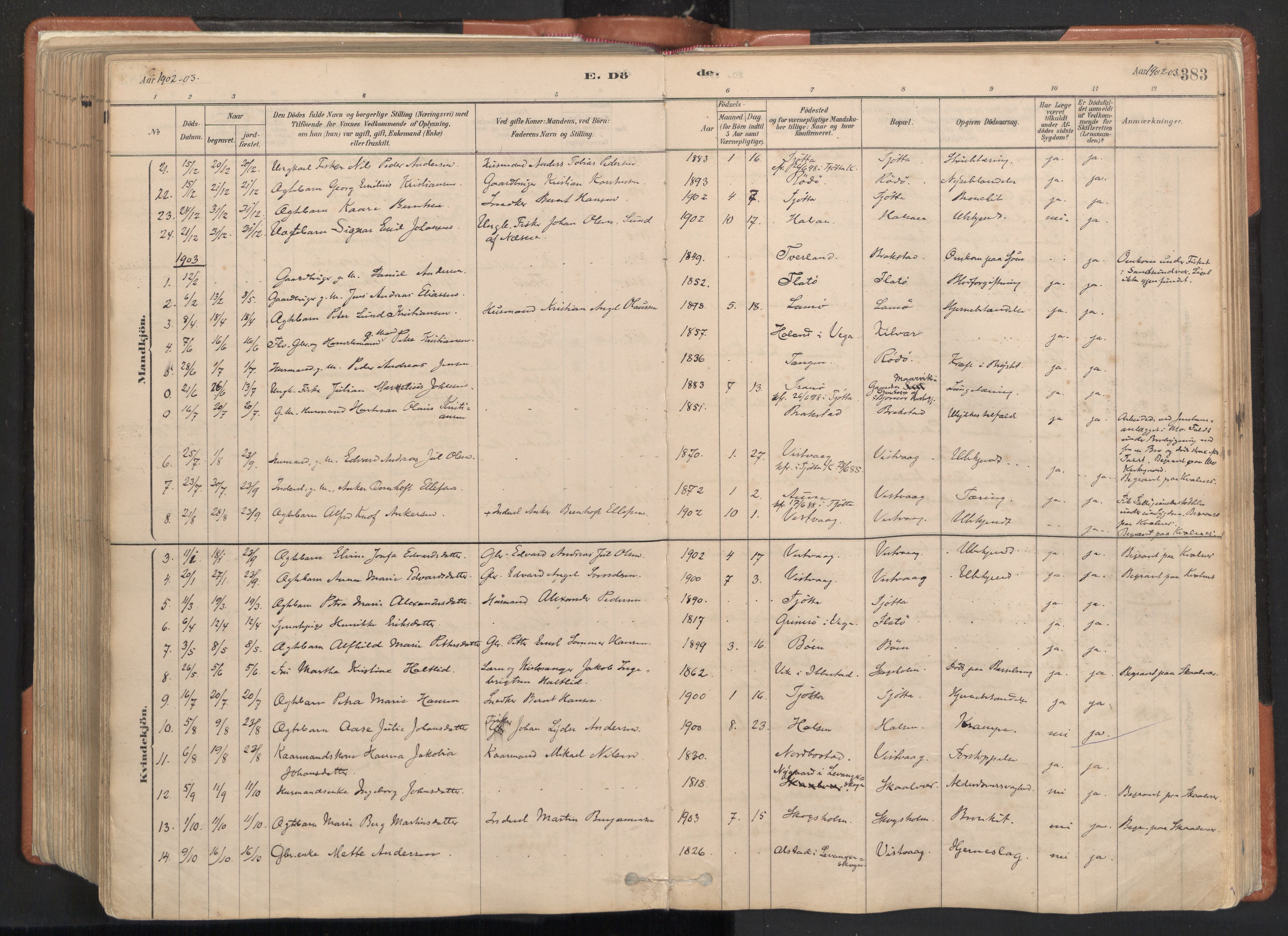 Ministerialprotokoller, klokkerbøker og fødselsregistre - Nordland, AV/SAT-A-1459/817/L0264: Ministerialbok nr. 817A04, 1878-1907, s. 383