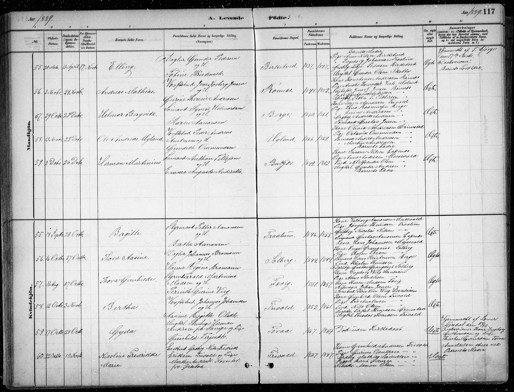 Fjære sokneprestkontor, AV/SAK-1111-0011/F/Fb/L0011: Klokkerbok nr. B 11, 1881-1905, s. 117