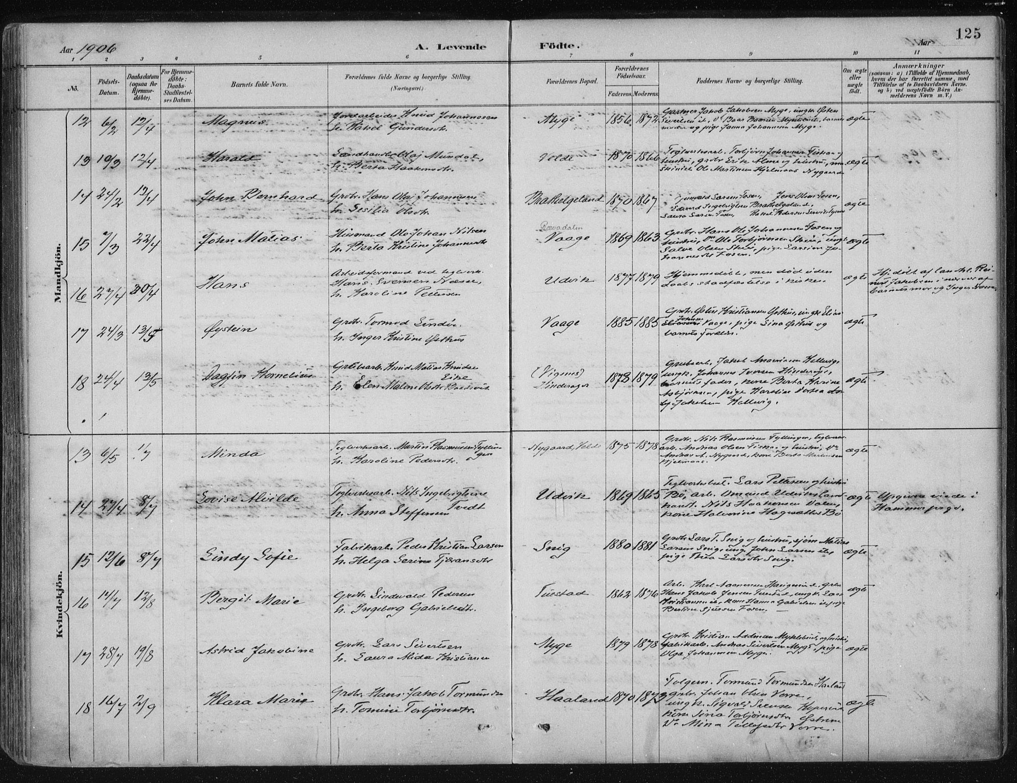 Avaldsnes sokneprestkontor, AV/SAST-A -101851/H/Ha/Haa/L0017: Ministerialbok nr. A 17, 1889-1920, s. 125