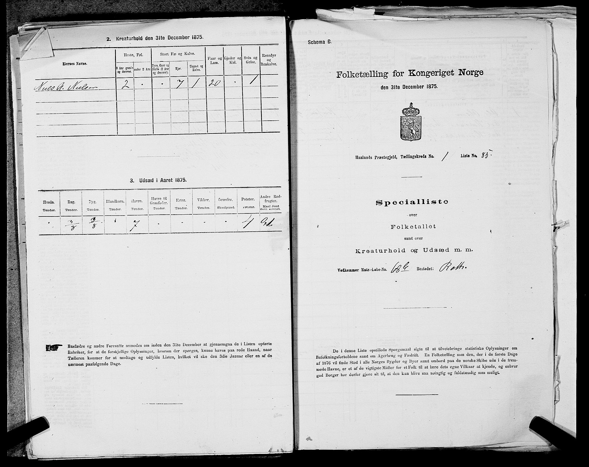 SAST, Folketelling 1875 for 1124P Håland prestegjeld, 1875, s. 225