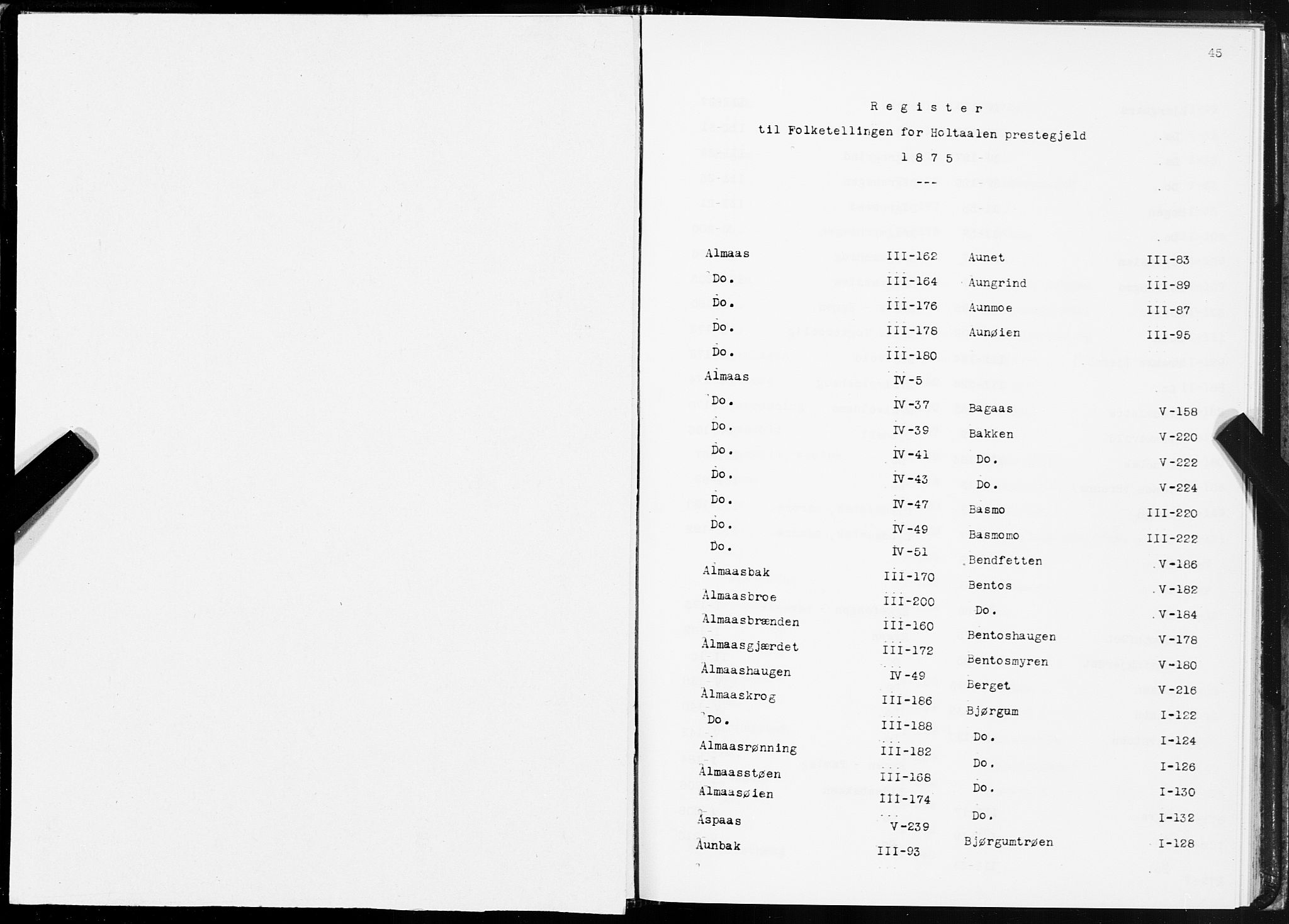 SAT, Folketelling 1875 for 1645P Haltdalen prestegjeld, 1875, s. 45