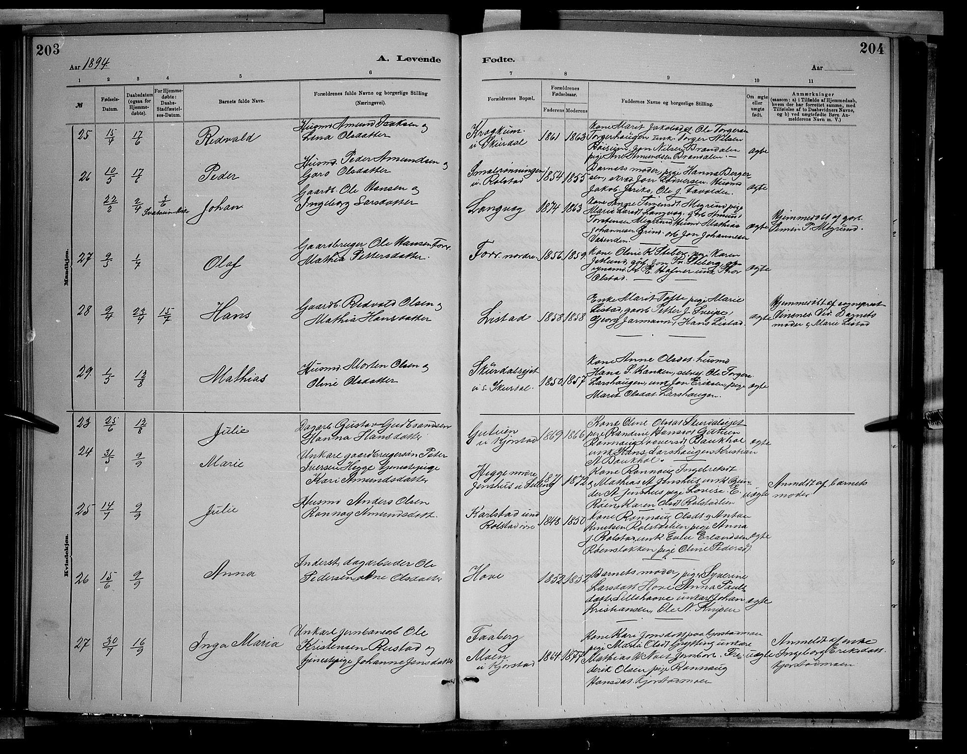 Sør-Fron prestekontor, AV/SAH-PREST-010/H/Ha/Hab/L0003: Klokkerbok nr. 3, 1884-1896, s. 203-204