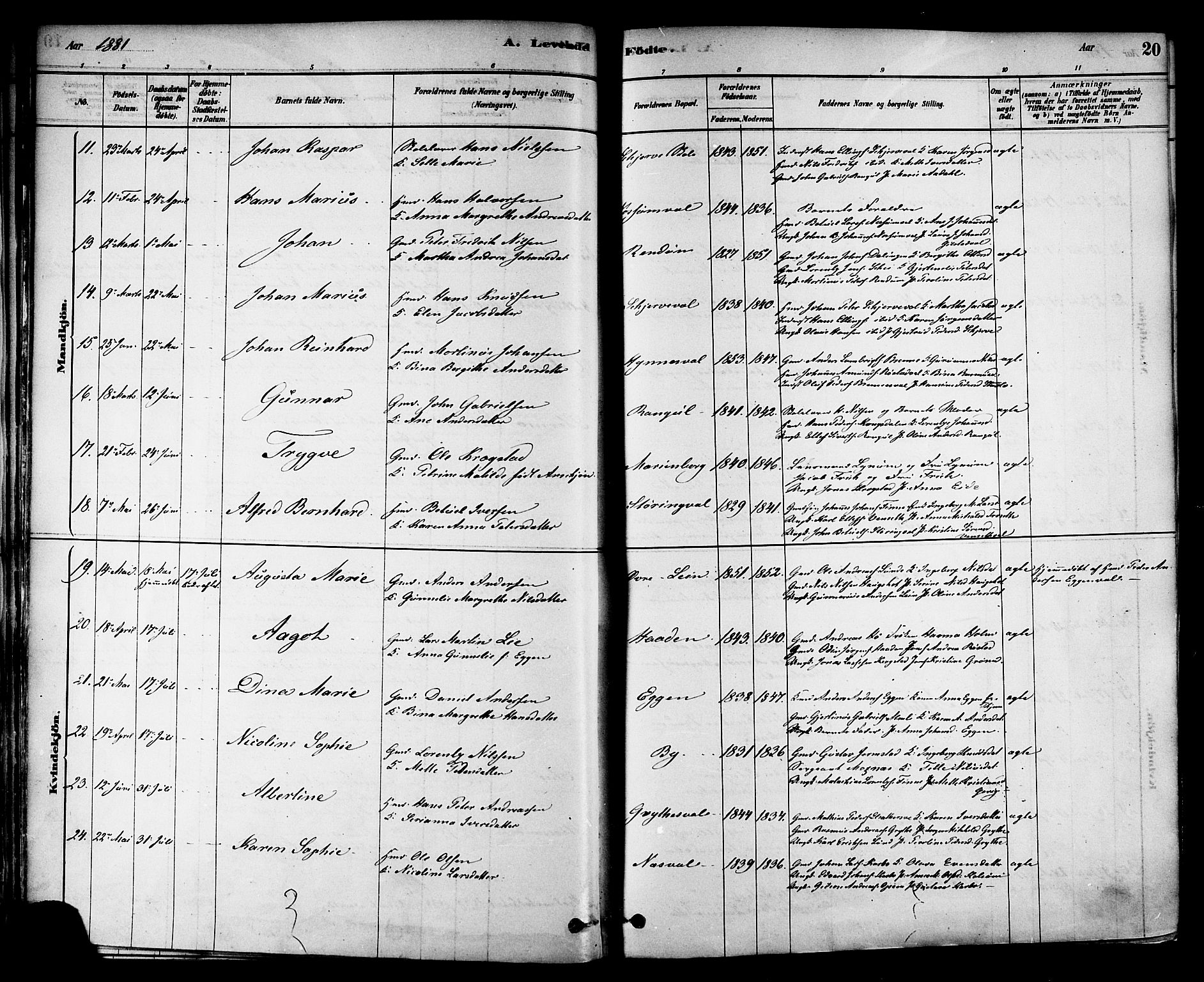Ministerialprotokoller, klokkerbøker og fødselsregistre - Nord-Trøndelag, SAT/A-1458/717/L0159: Ministerialbok nr. 717A09, 1878-1898, s. 20
