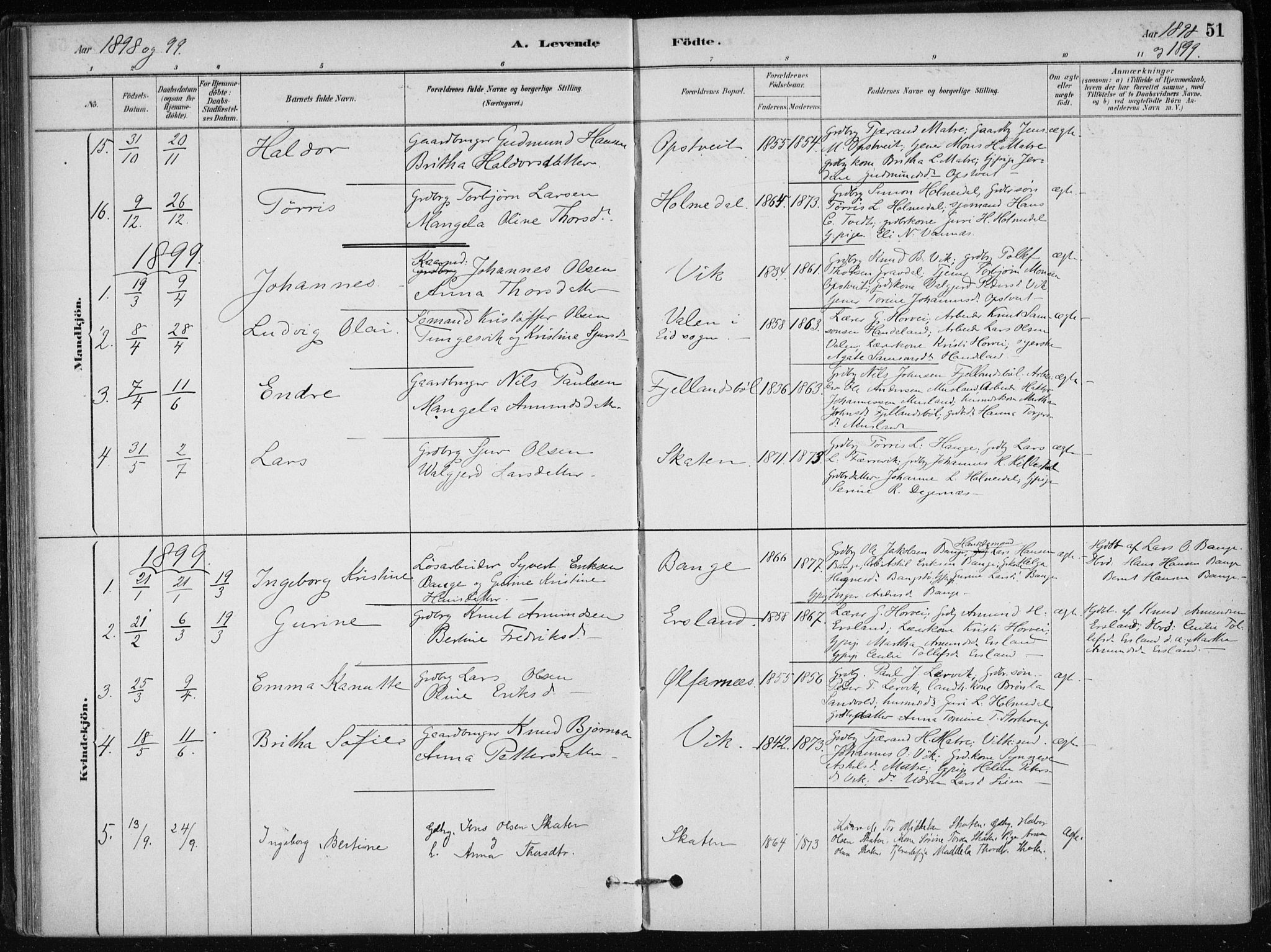 Skånevik sokneprestembete, AV/SAB-A-77801/H/Haa: Ministerialbok nr. C  1, 1879-1917, s. 51