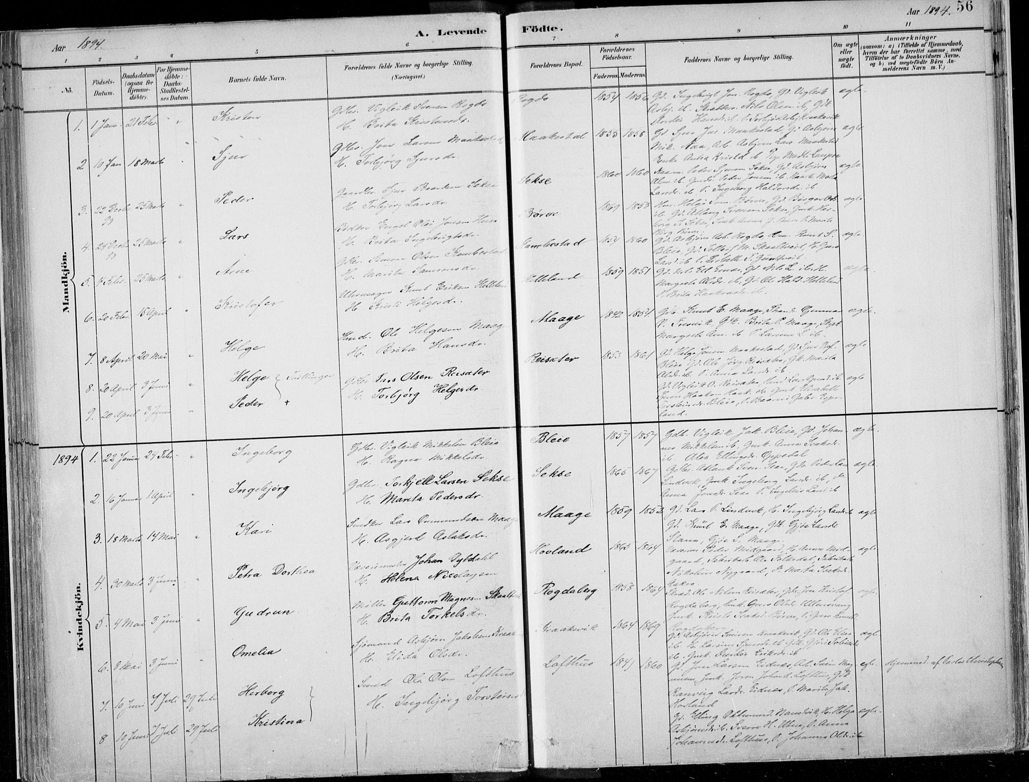 Ullensvang sokneprestembete, AV/SAB-A-78701/H/Haa: Ministerialbok nr. B  1, 1882-1918, s. 56